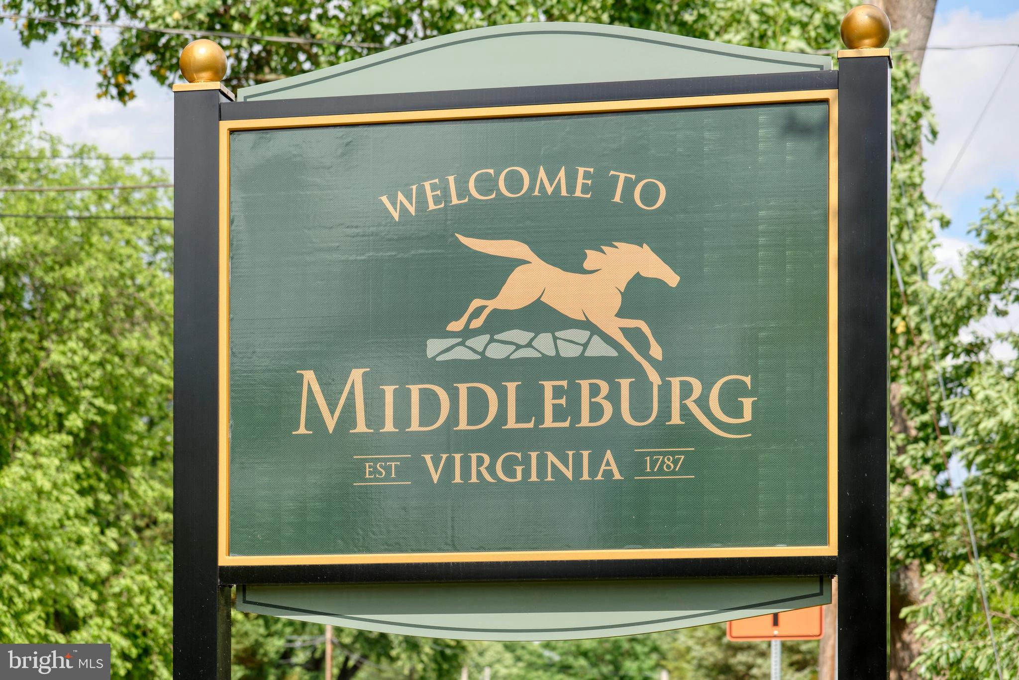 ALDIE MEADOWS - Residential