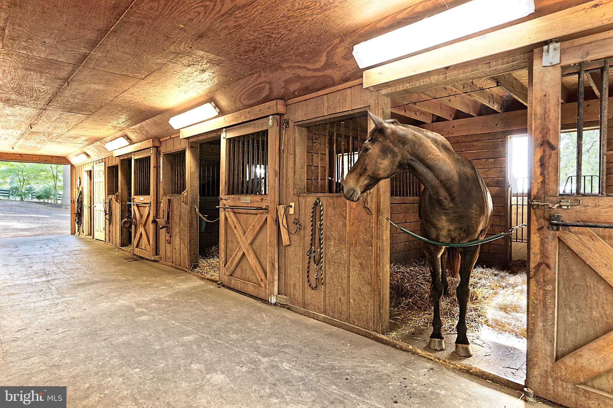 ALDIE MEADOWS - Residential