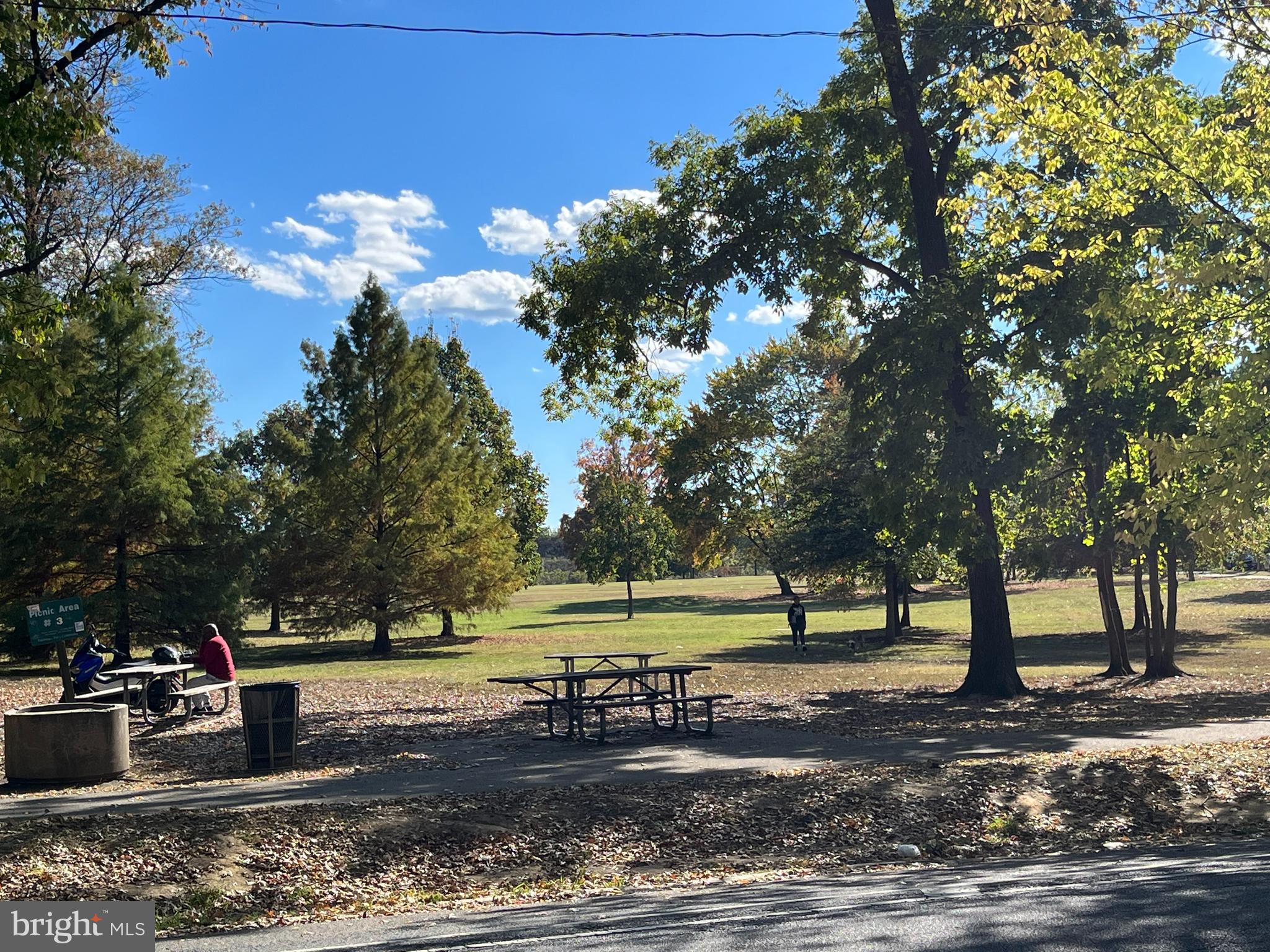 STRAWBERRY MANSION - Residential