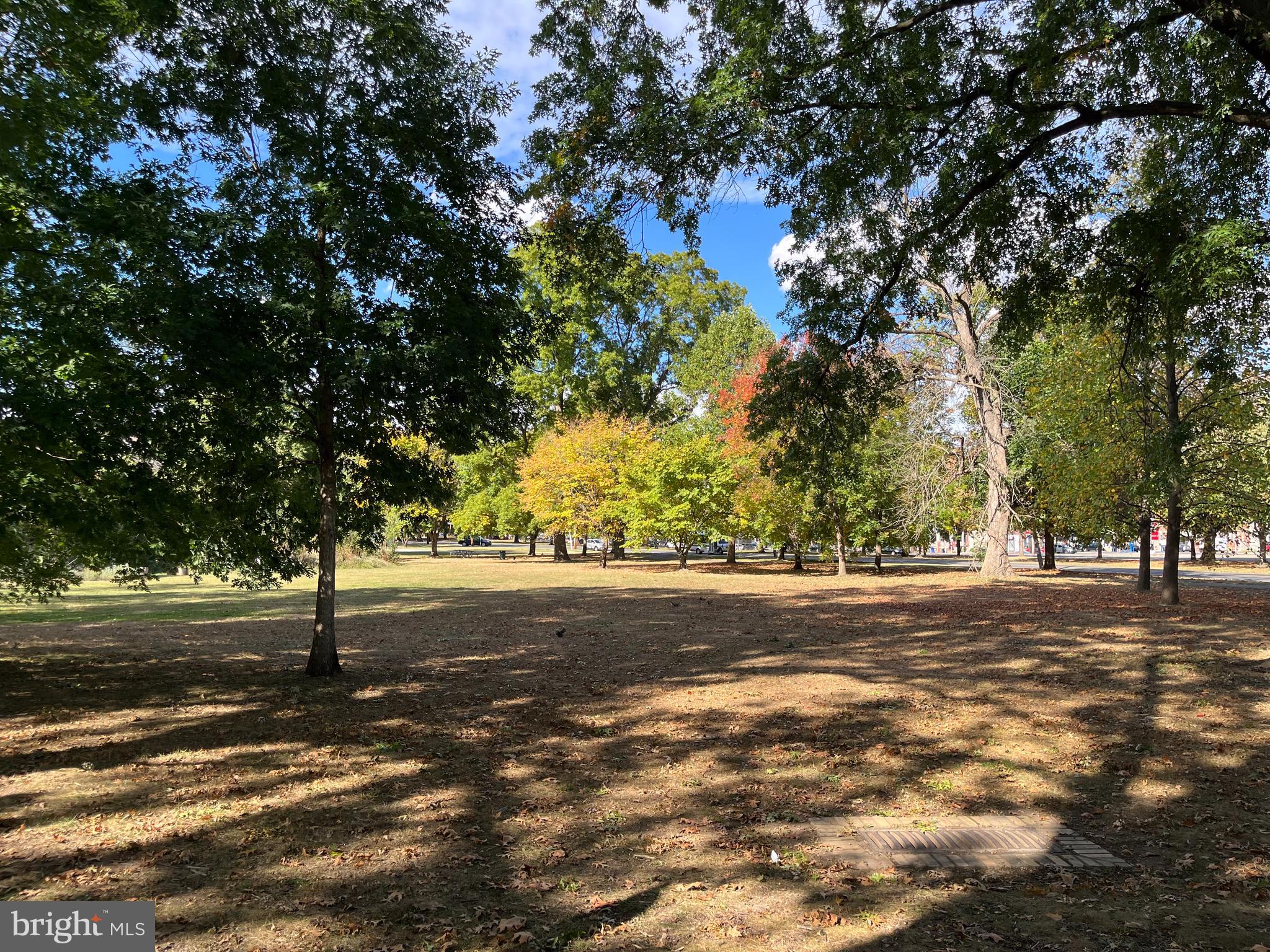 STRAWBERRY MANSION - Residential