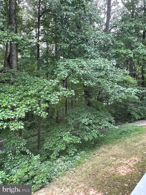 BURKE COVE - Residential Lease