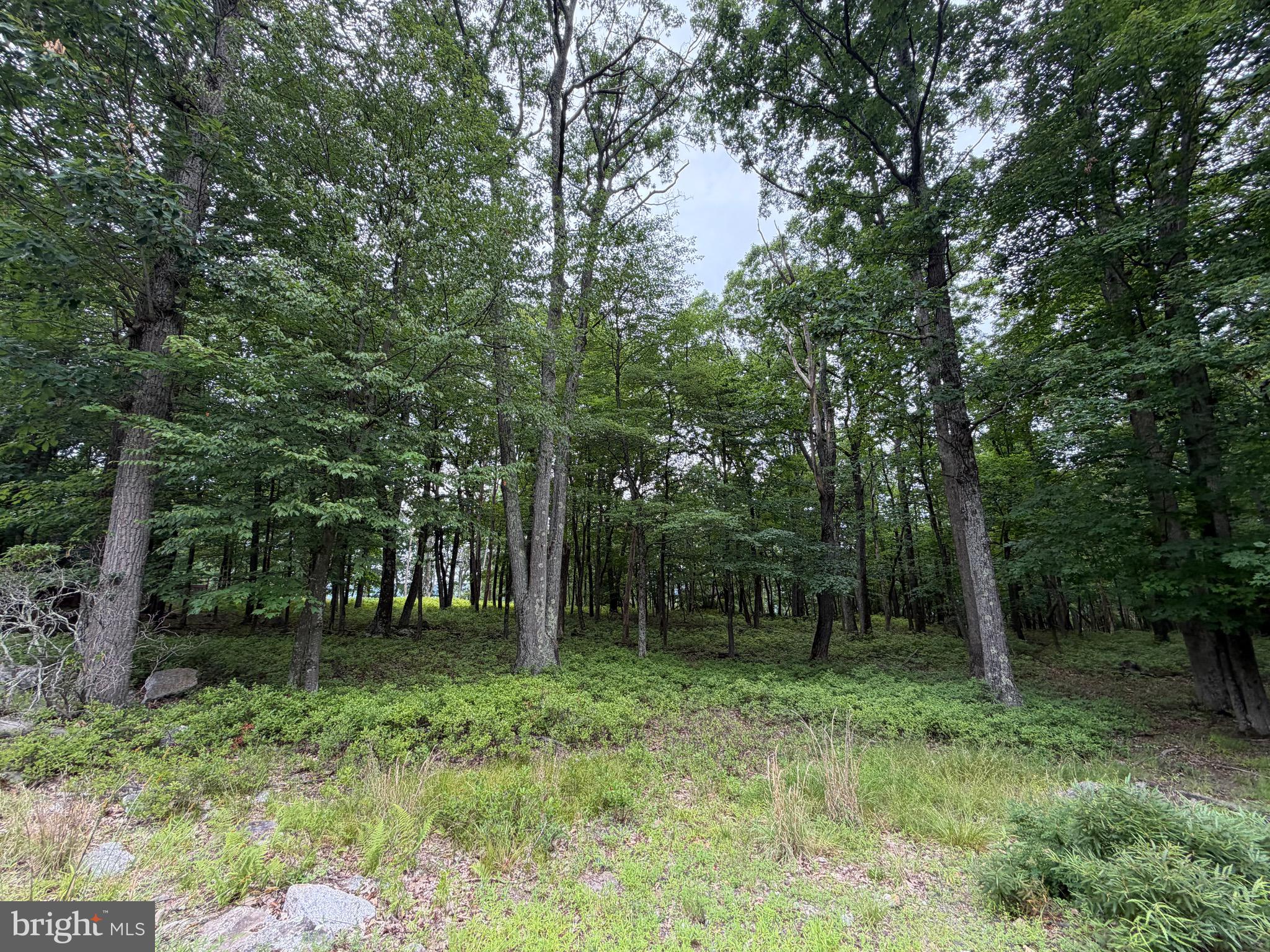536 HAYSTACK DRIVE