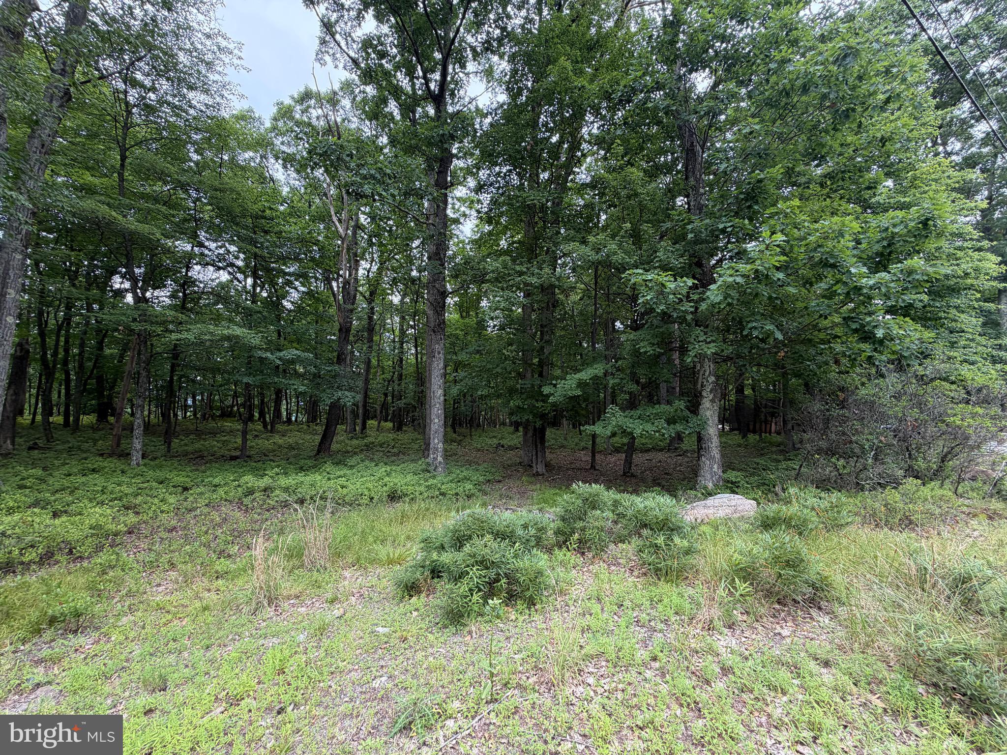 536 HAYSTACK DRIVE