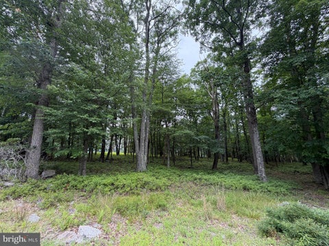 Vacant Land For Sale - 536 Haystack Drive<br/> Schuylkill County, ZION GROVE, PA 17985