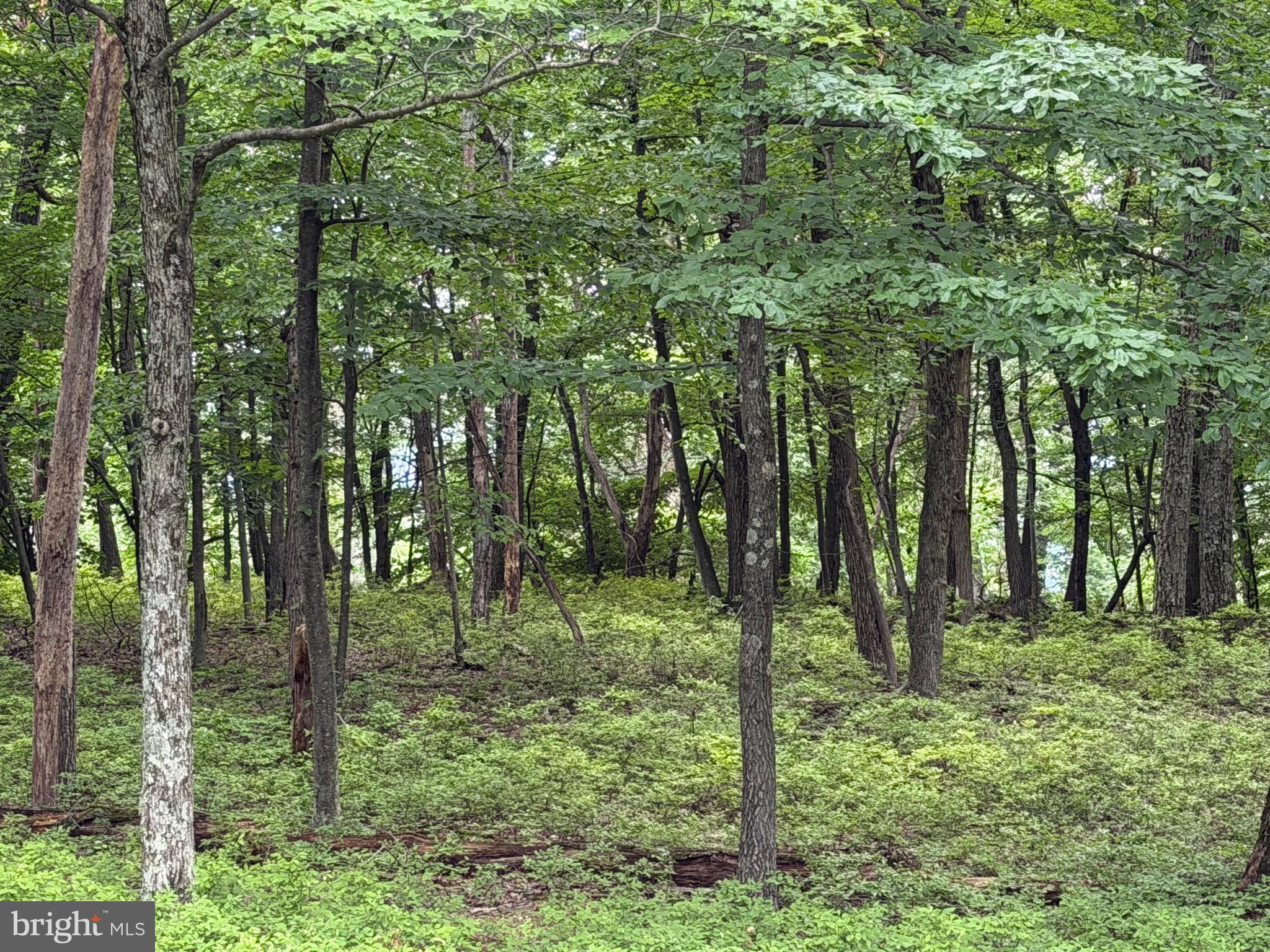 536 HAYSTACK DRIVE