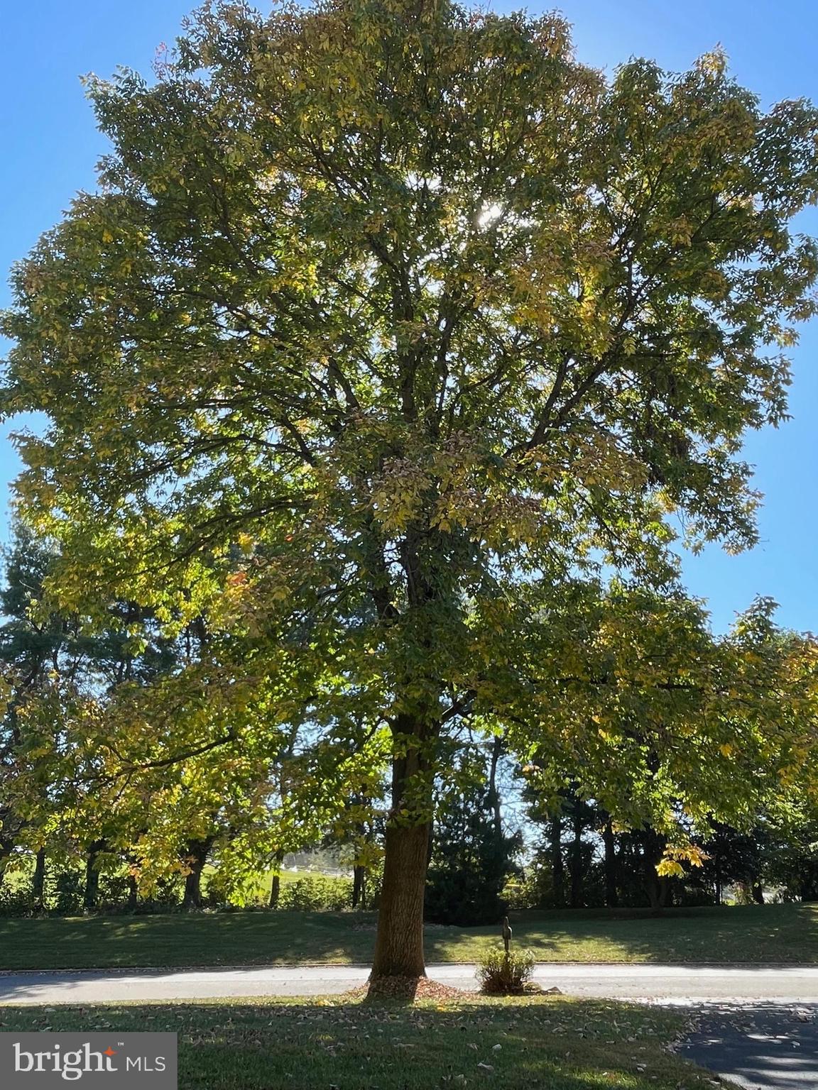 ALVERNO VALLEY FRM - Residential