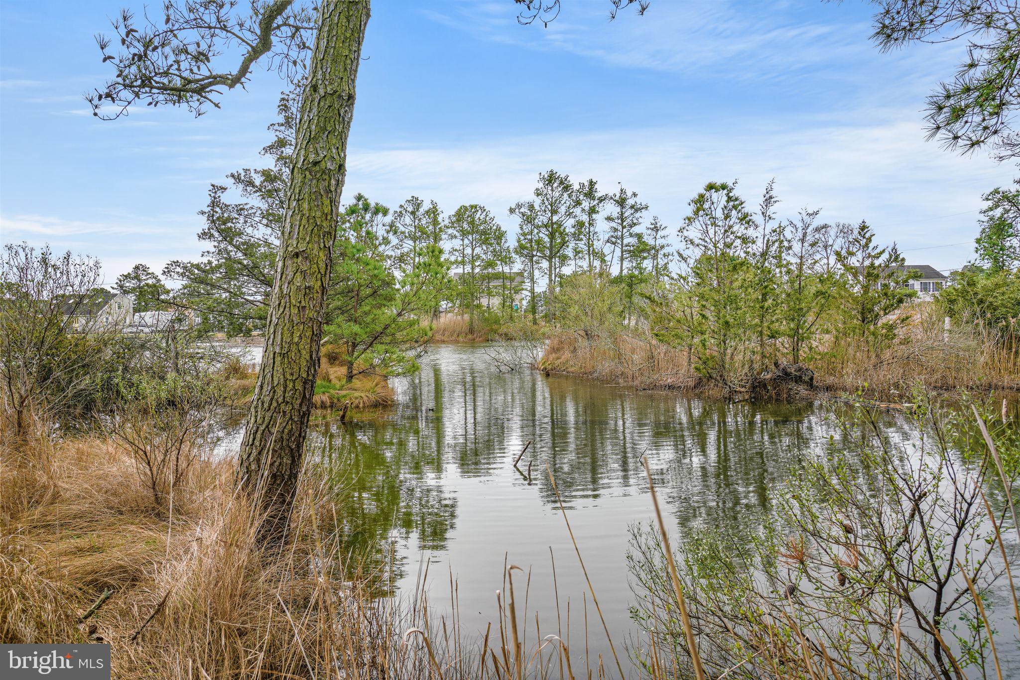 CHINCOTEAGUE - Residential