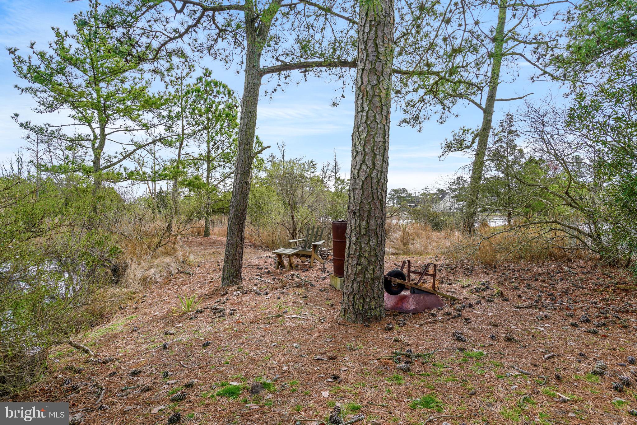 CHINCOTEAGUE - Residential