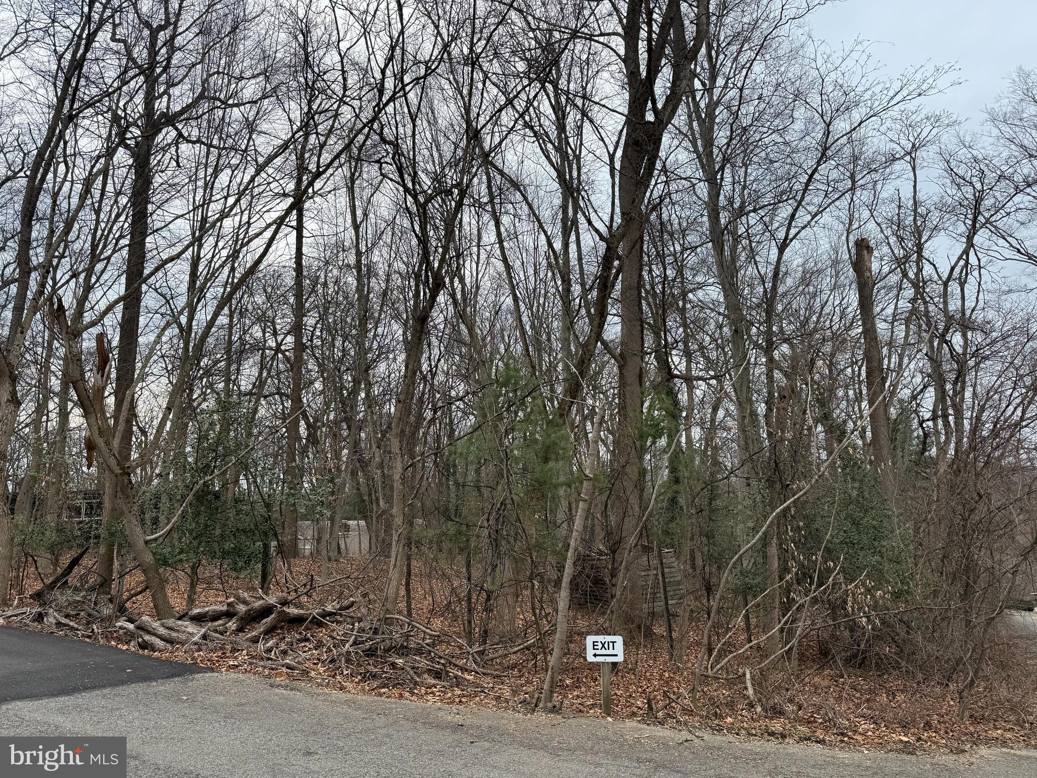 This level lot is located on one of the most desirable streets in Penn Valley. Immersed in the beauty and privacy of lush, mature trees, 41 Fairview Road is a sought-after one-acre building lot. This lot is truly a rare find and has endless possibilities for being able to build the home of your dreams. Use your own builder! It is located in the award-winning Lower Merion School District and conveniently located near dining, shopping, entertainment, major roadways, and public transportation, allowing an easy commute to Center City.