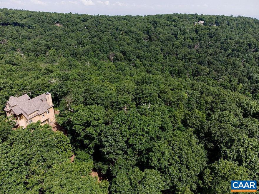 Current owner has a home at Wintergreen and had intended to build on this site. He has identified a wonderfully built cabin that could be built on this site which is on a small cul de sac between two very attractive homes. Plans and building estimates are in the docs section of the listing description. The best house location has already been flagged. Please note: the lot is being sold as vacant land only. The home shown in the plan is not built and not included in the sale price. The proposed plan is for informational purposes and to help envision one potential layout for the property.