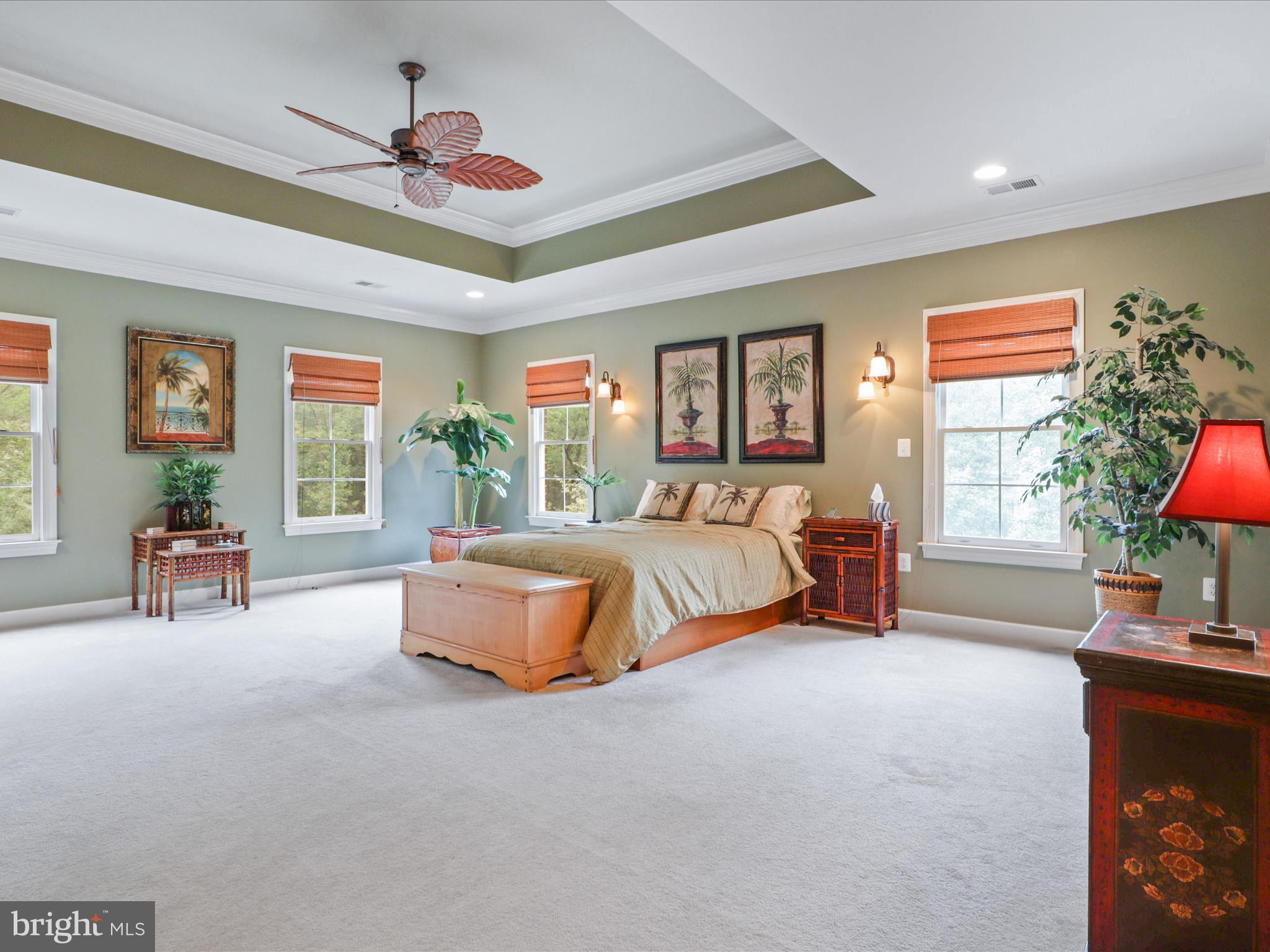 POPLAR TREE - Residential