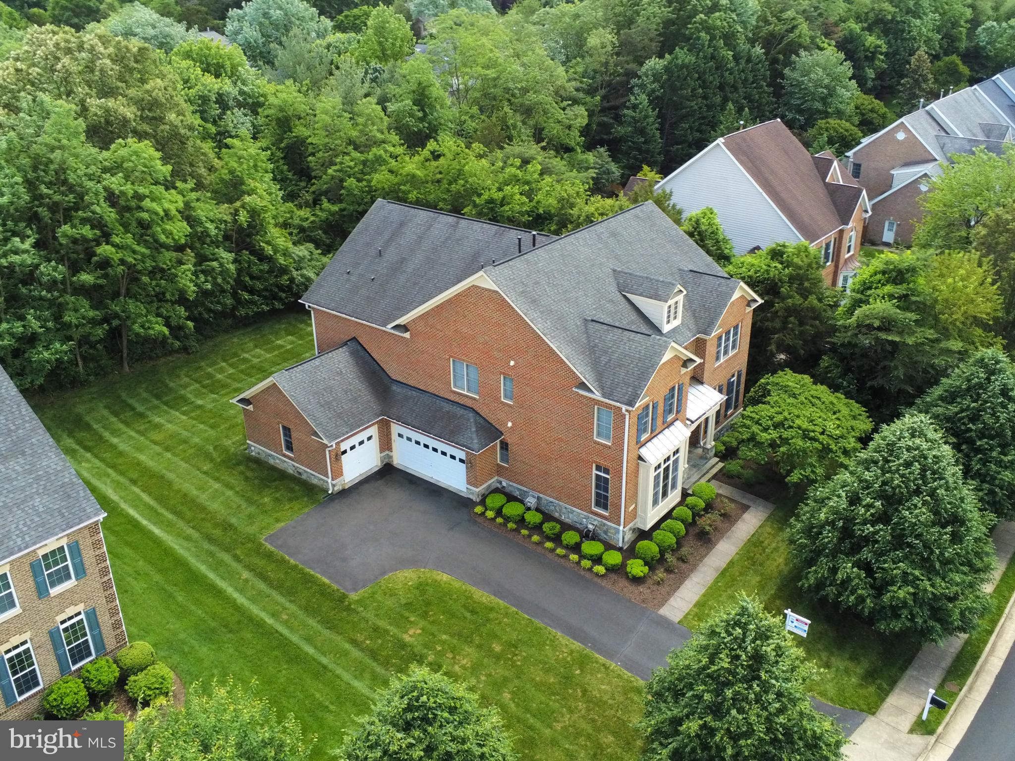 POPLAR TREE - Residential