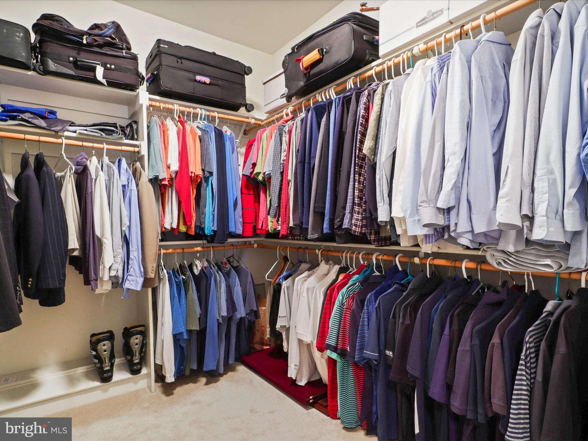 POPLAR TREE - Residential