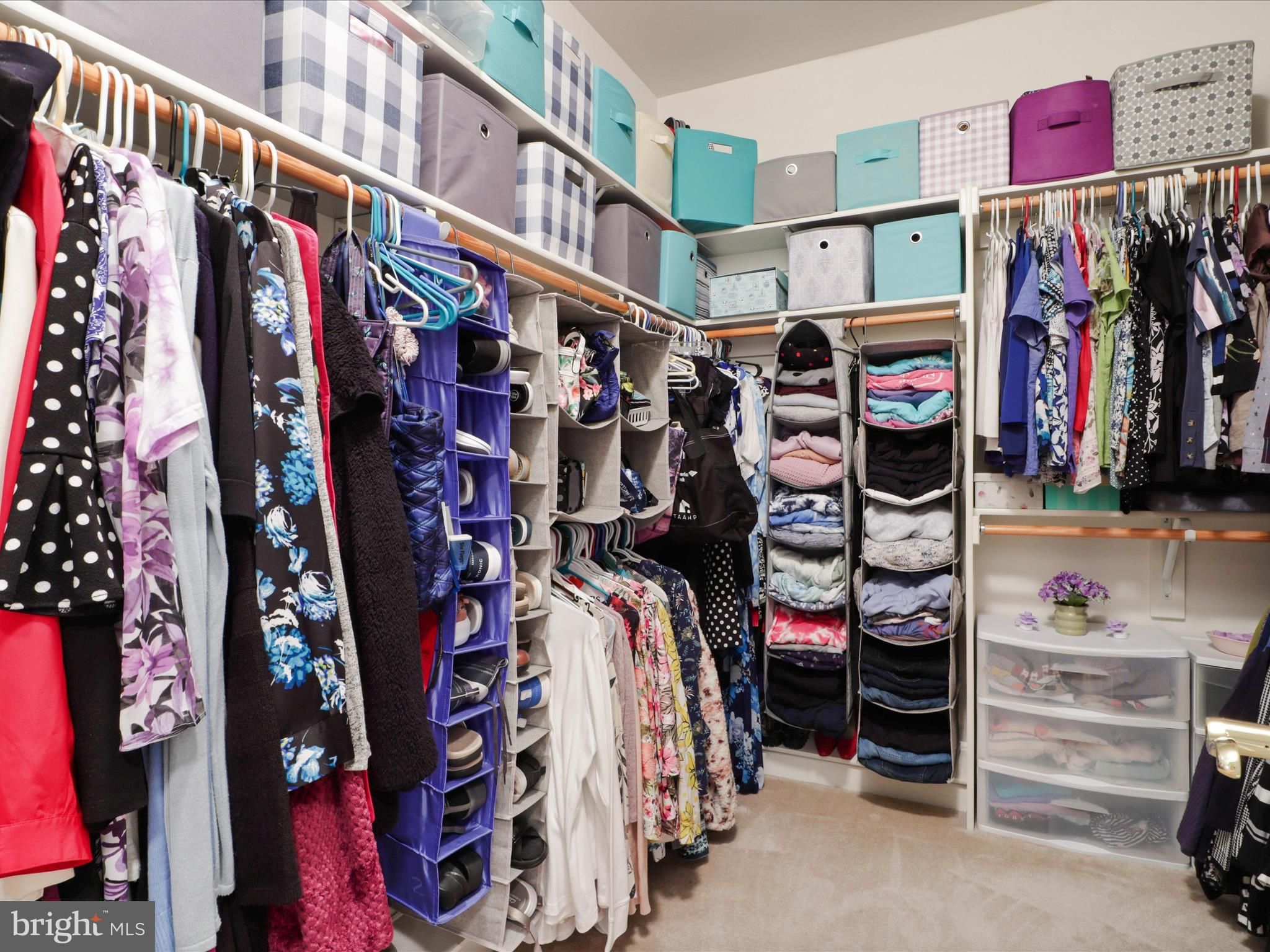 POPLAR TREE - Residential