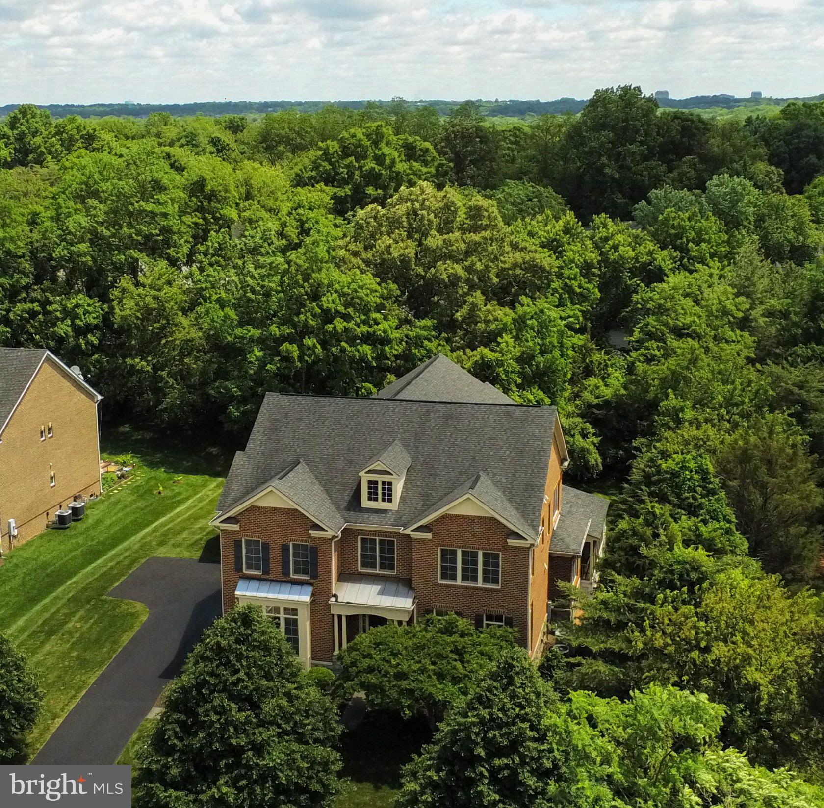 POPLAR TREE - Residential