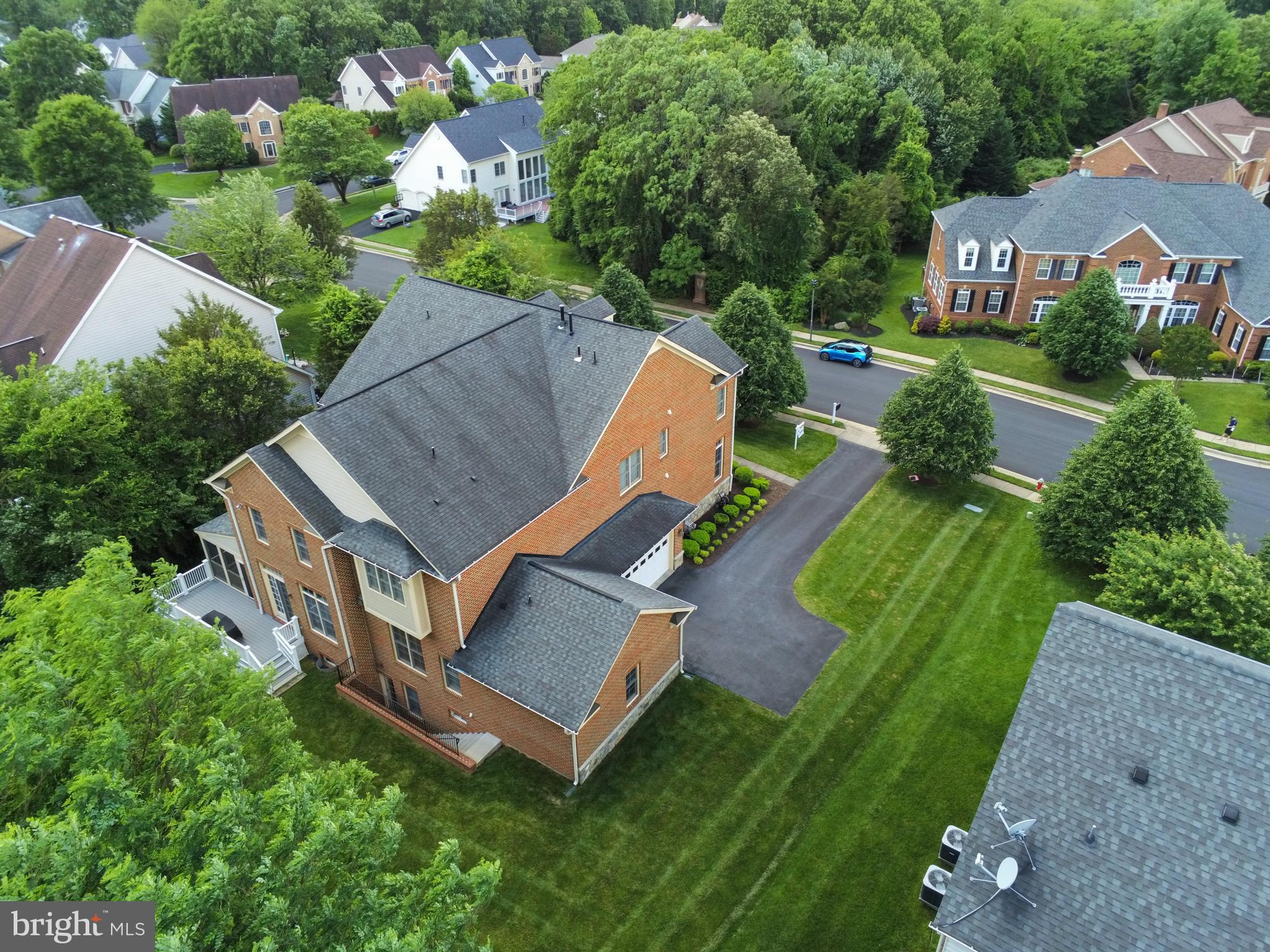 POPLAR TREE - Residential