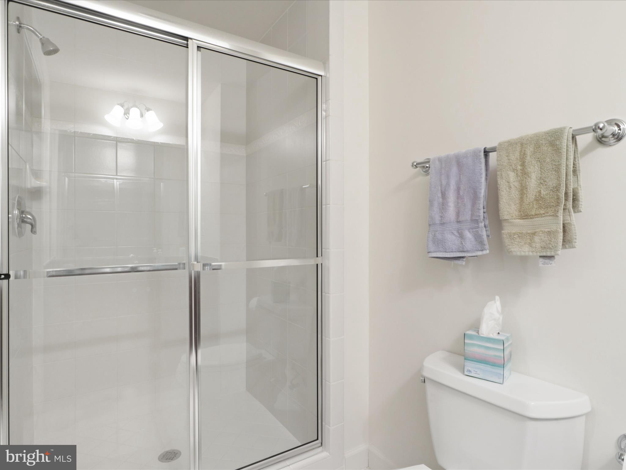 POPLAR TREE - Residential