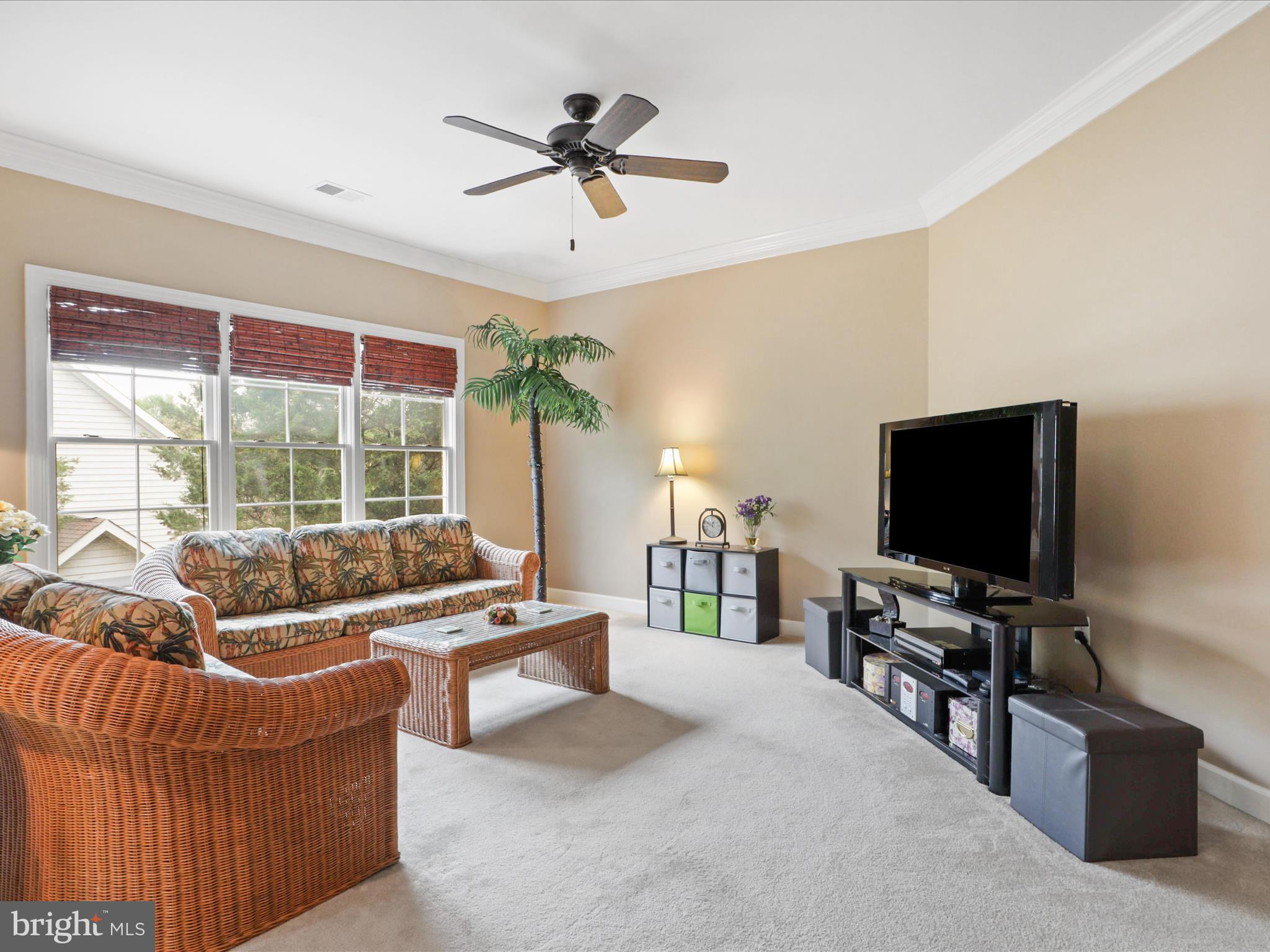 POPLAR TREE - Residential