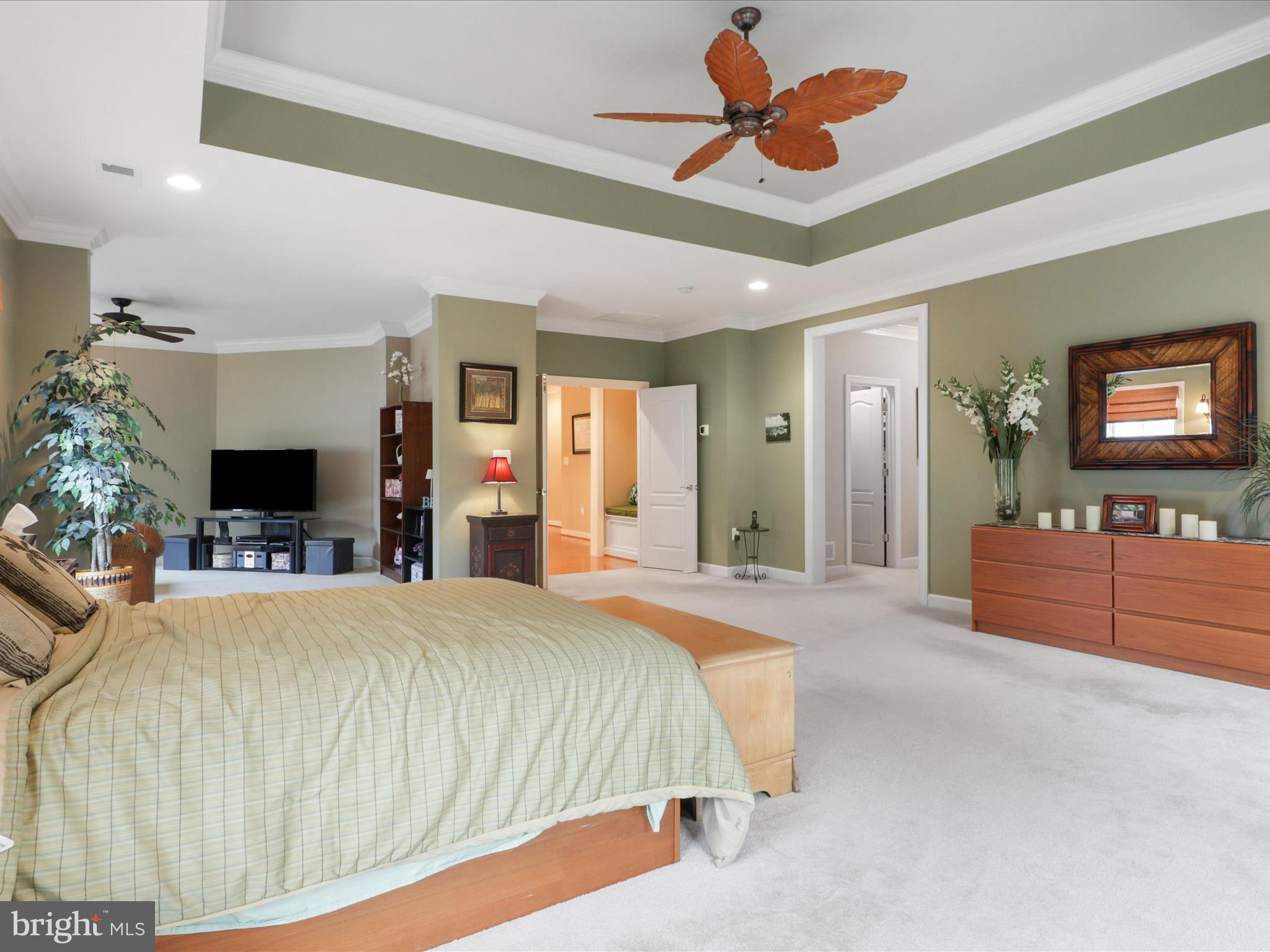 POPLAR TREE - Residential