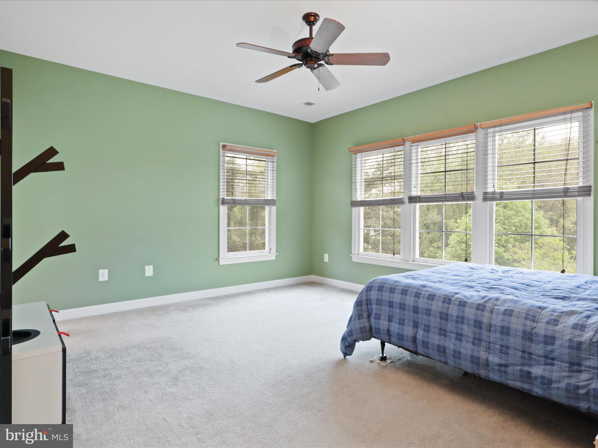 POPLAR TREE - Residential