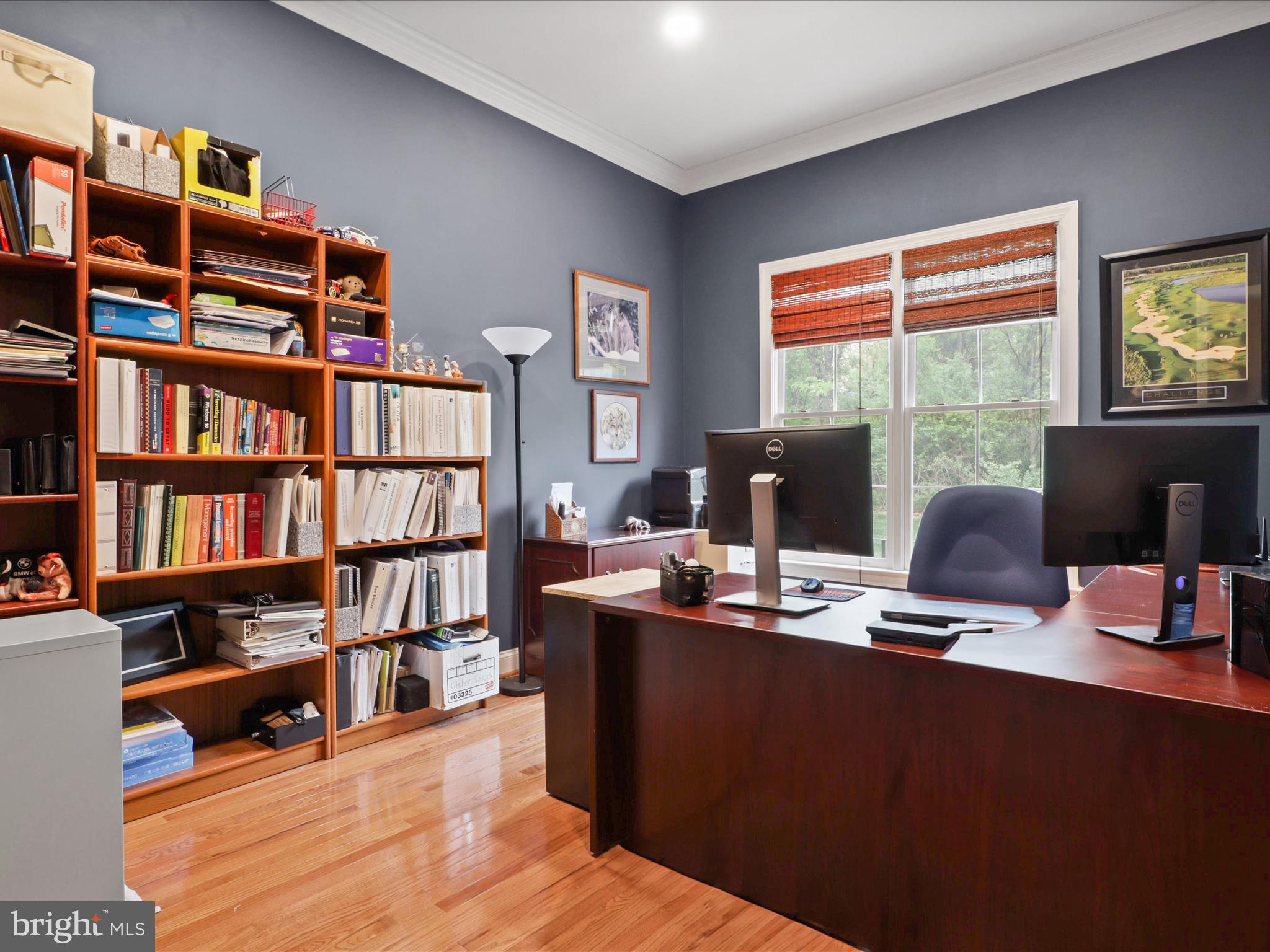 POPLAR TREE - Residential