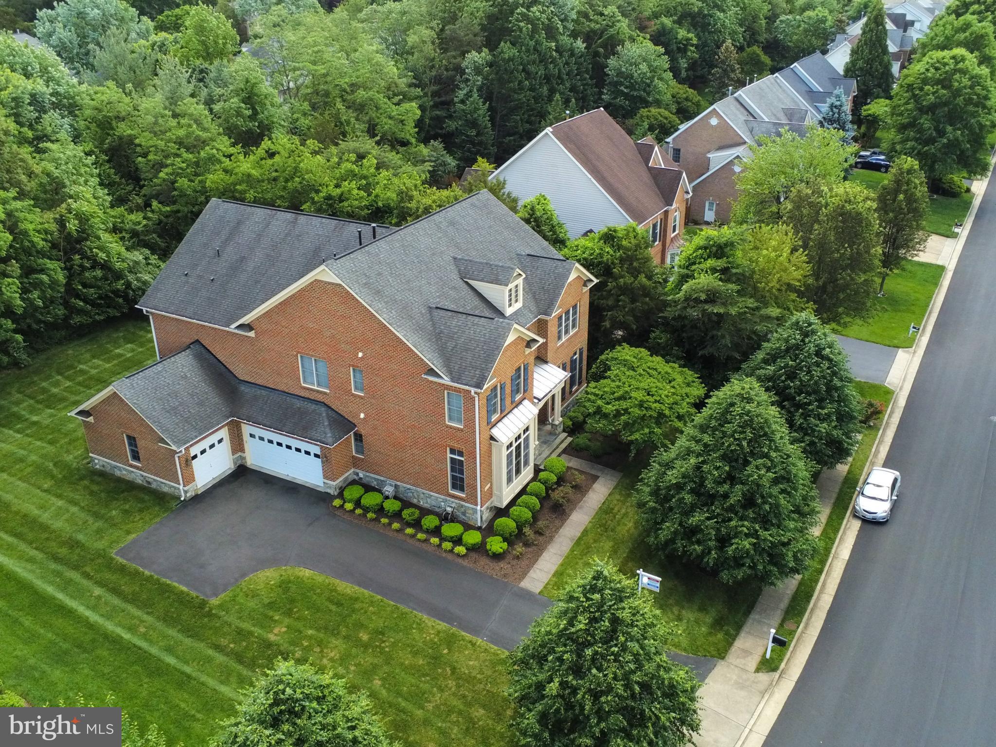 POPLAR TREE - Residential