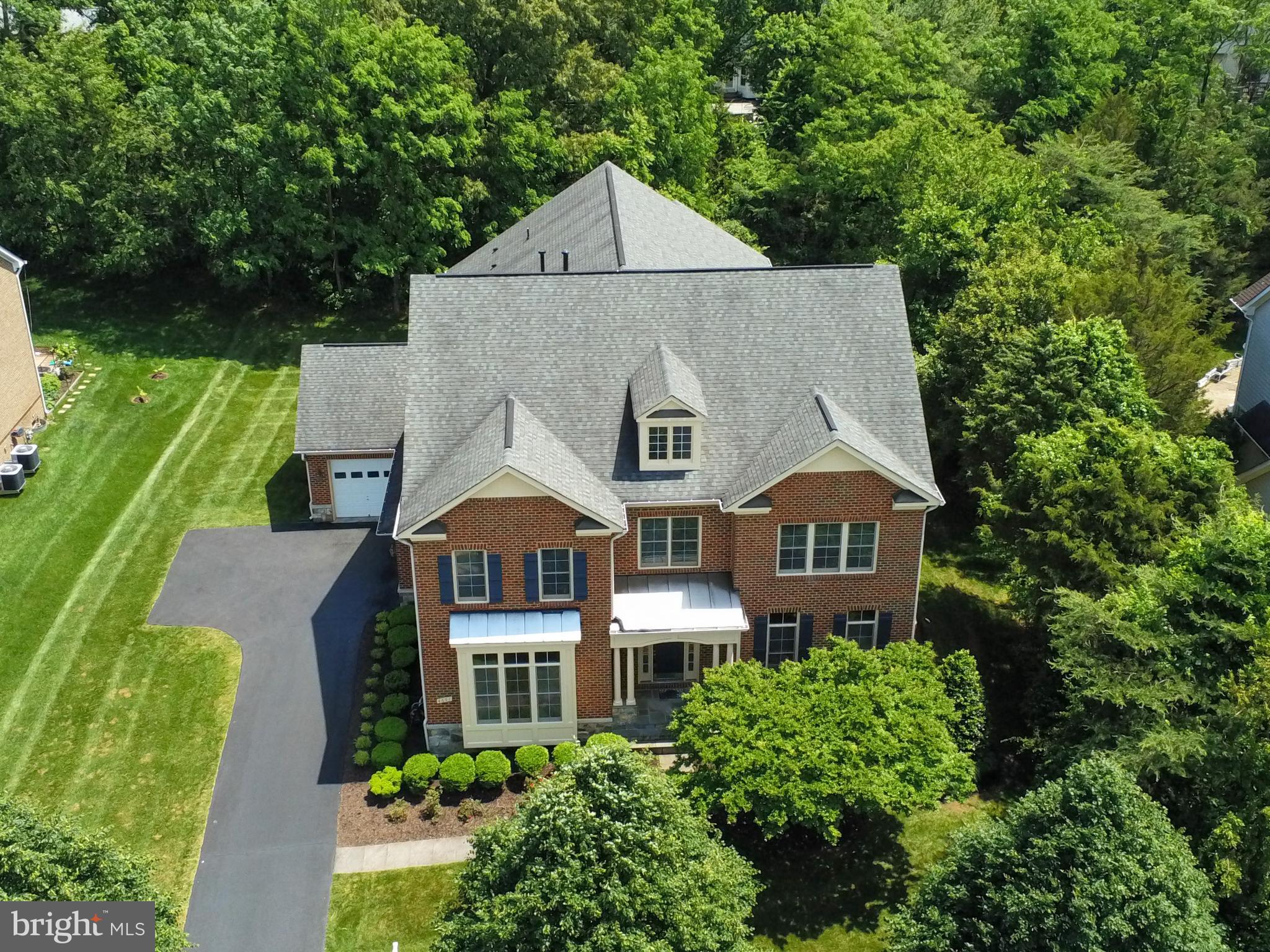 POPLAR TREE - Residential