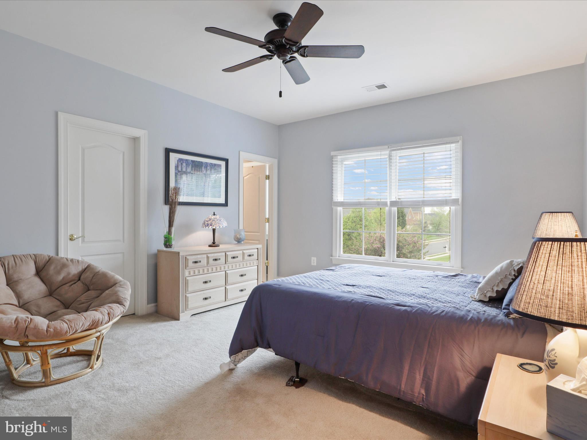 POPLAR TREE - Residential