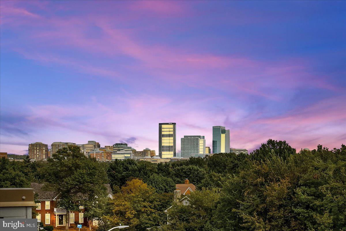 RESTON ARBORETUM - Residential