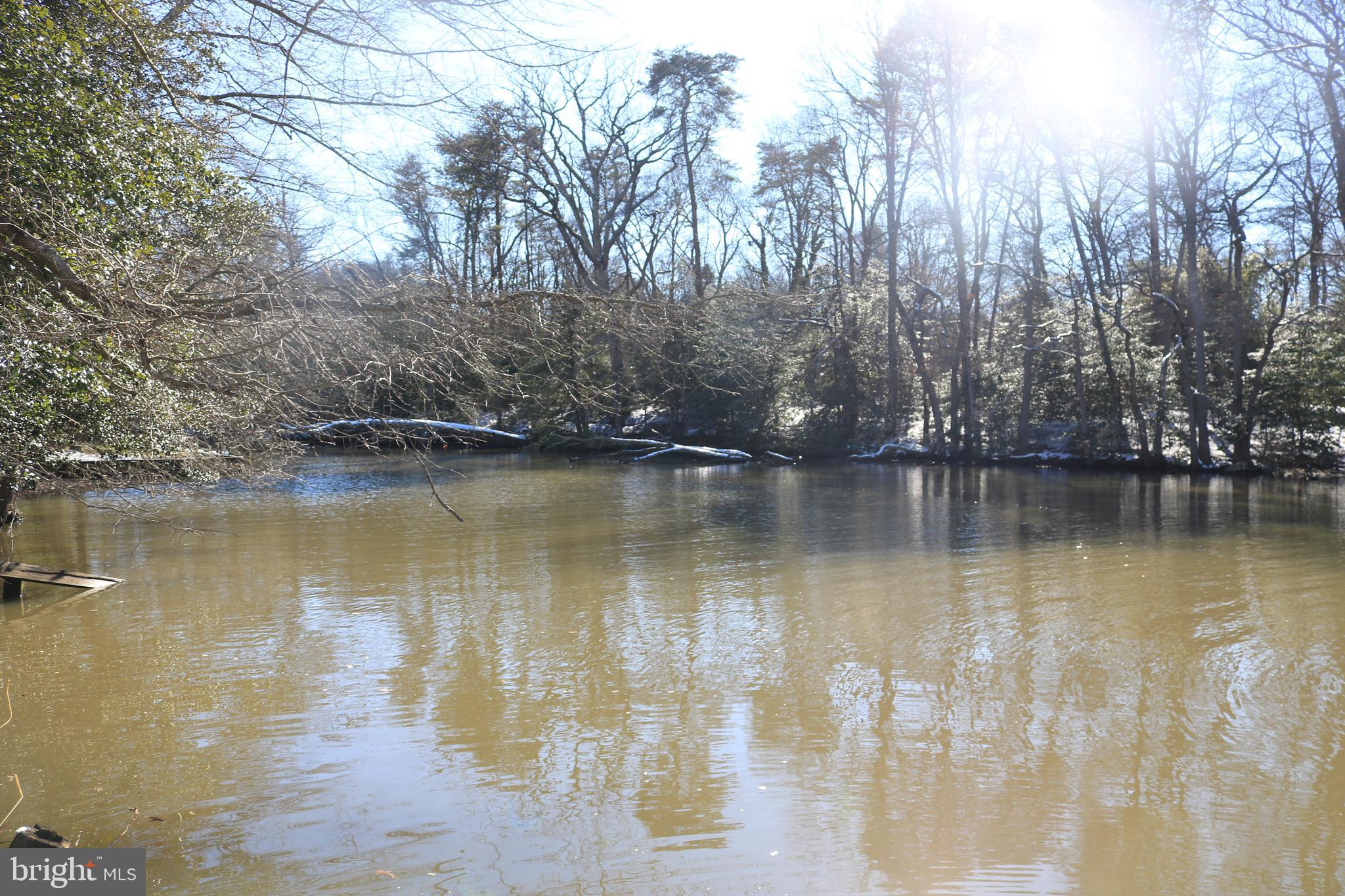 CHESTER HARBOR - Residential
