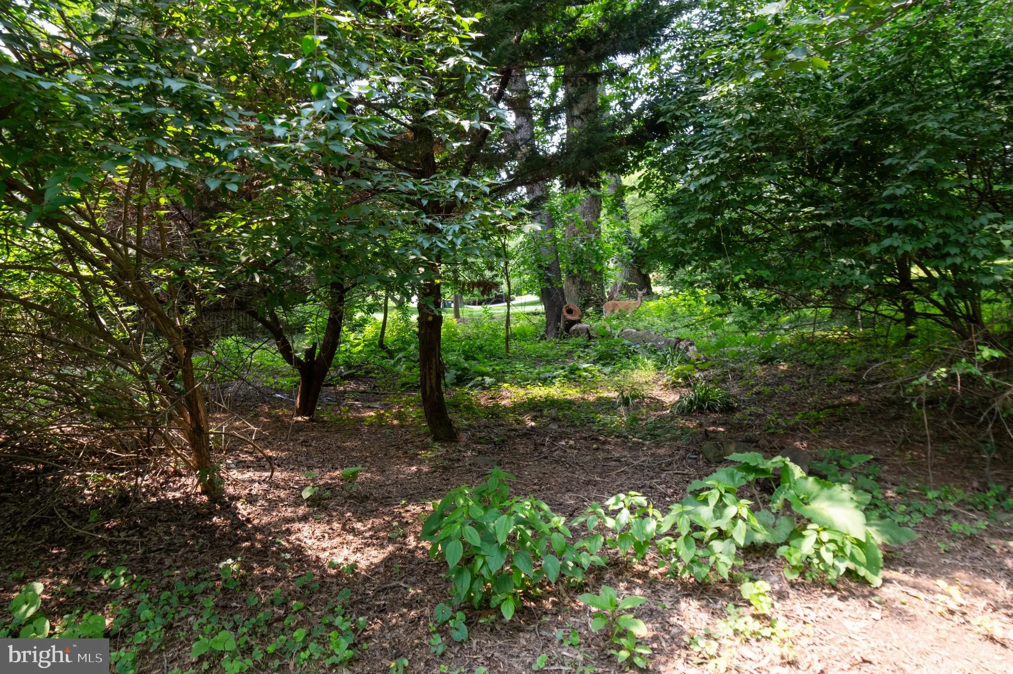 Oakton, Virginia 22124, United States, 4 Bedrooms Bedrooms, ,4 BathroomsBathrooms,Residential,Pending,137651