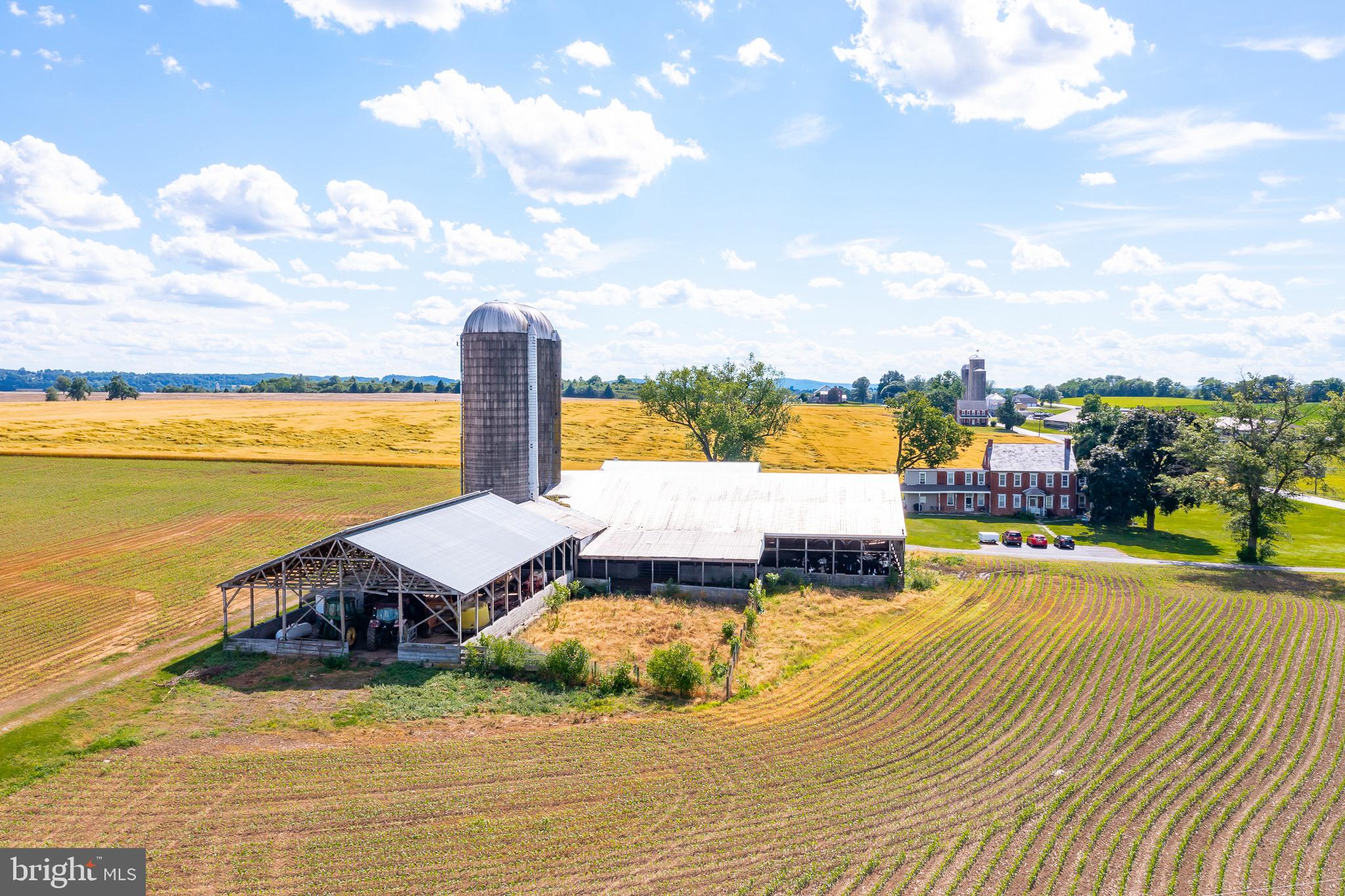 NONE AVAILABLE - Farm