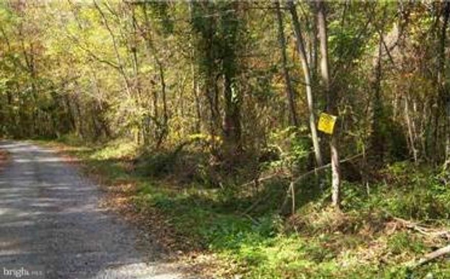 WOODED 2.96+- ACRE LOT.  CONVENIENTLY LOCATED CLOSE TO RT# 522, I-68 & I-70. THE LOT HAS BEEN PERKED & READY FOR YOUR NEW HOME OR WEEKEND GETAWAY SPOT. WITHIN A HOUR & HALF OF THE WASHINGTON / BALTIMORE  BELT WAY. THE LOT IS IN CLOSE PROXIMITY TO THE POTOMAC RIVER. THE HISTORIC TOWN OF BERKELEY SPRINGS WITH GOLF & ANTIQUE SHOPS IS JUST 7 MILES AWAY.