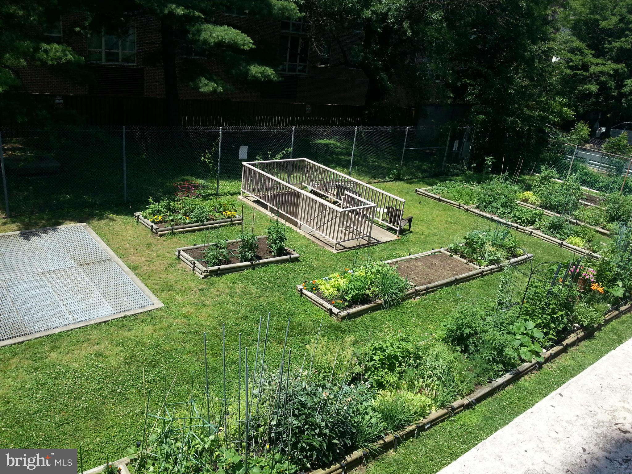 HYDE PARK - Residential Lease