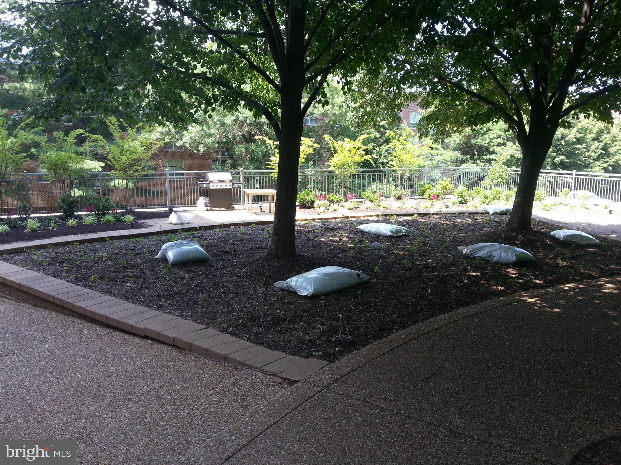 HYDE PARK - Residential Lease