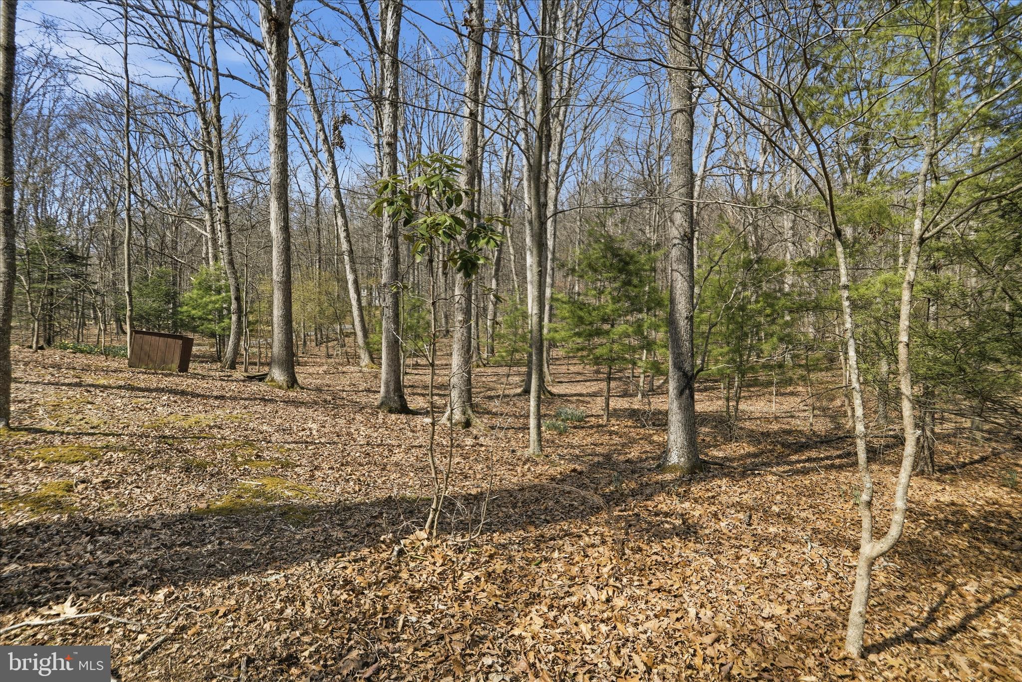 TROUT POND PROPERTY OWNERS ASSOCIATION - Residential