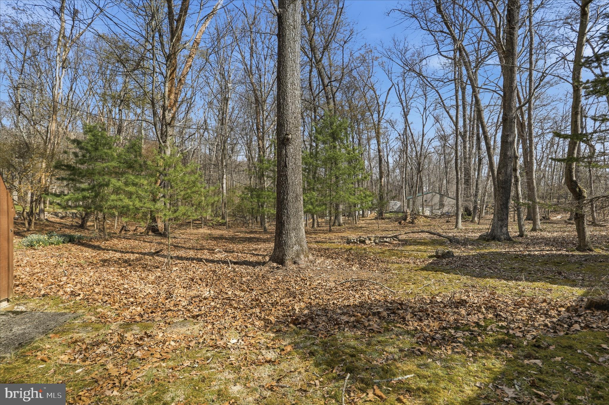 TROUT POND PROPERTY OWNERS ASSOCIATION - Residential