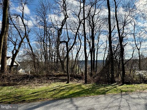 217 & 219 CHAPEL AVENUE PARKESBURG PA 19365