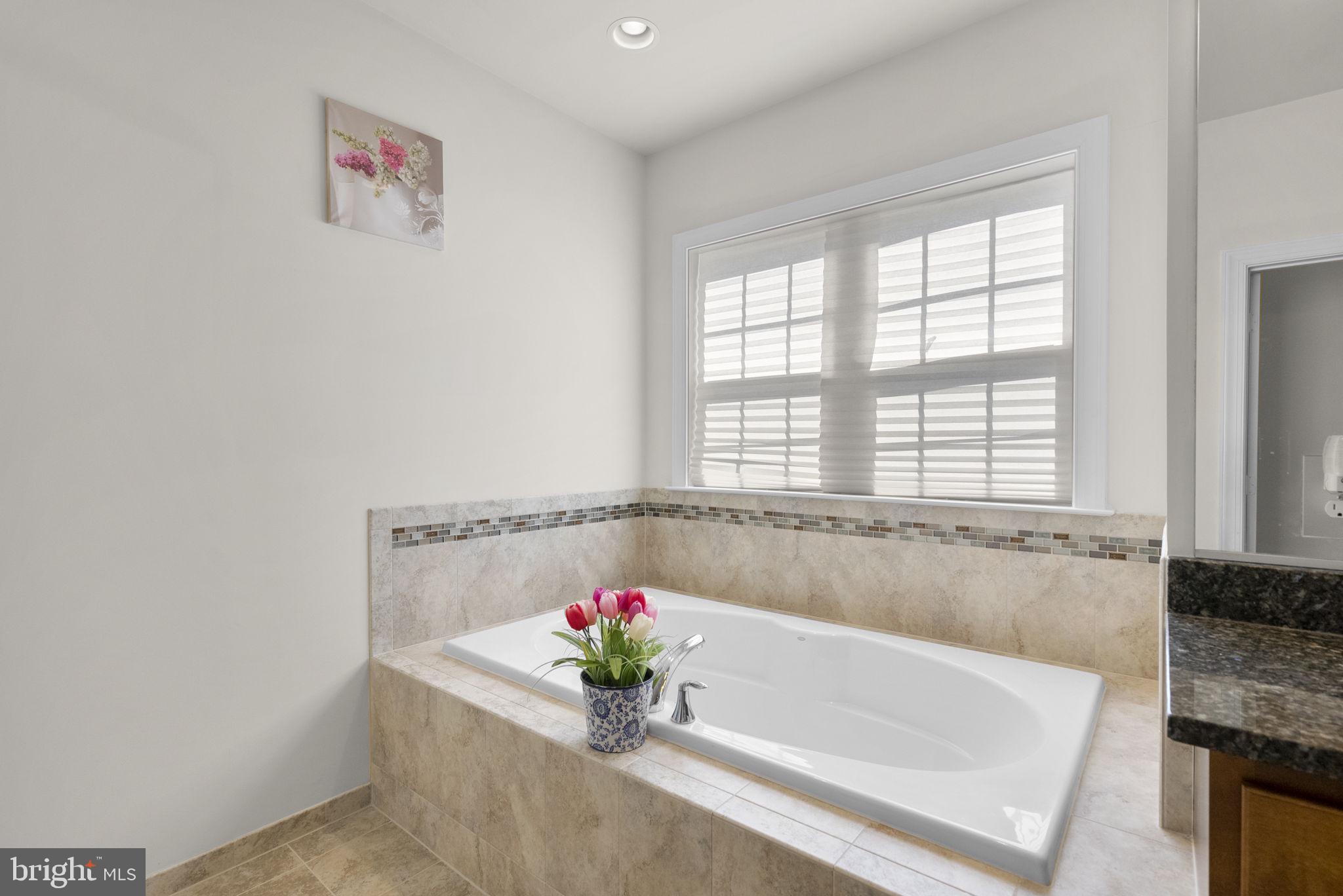 CLARKSBURG VILLAGE - Residential