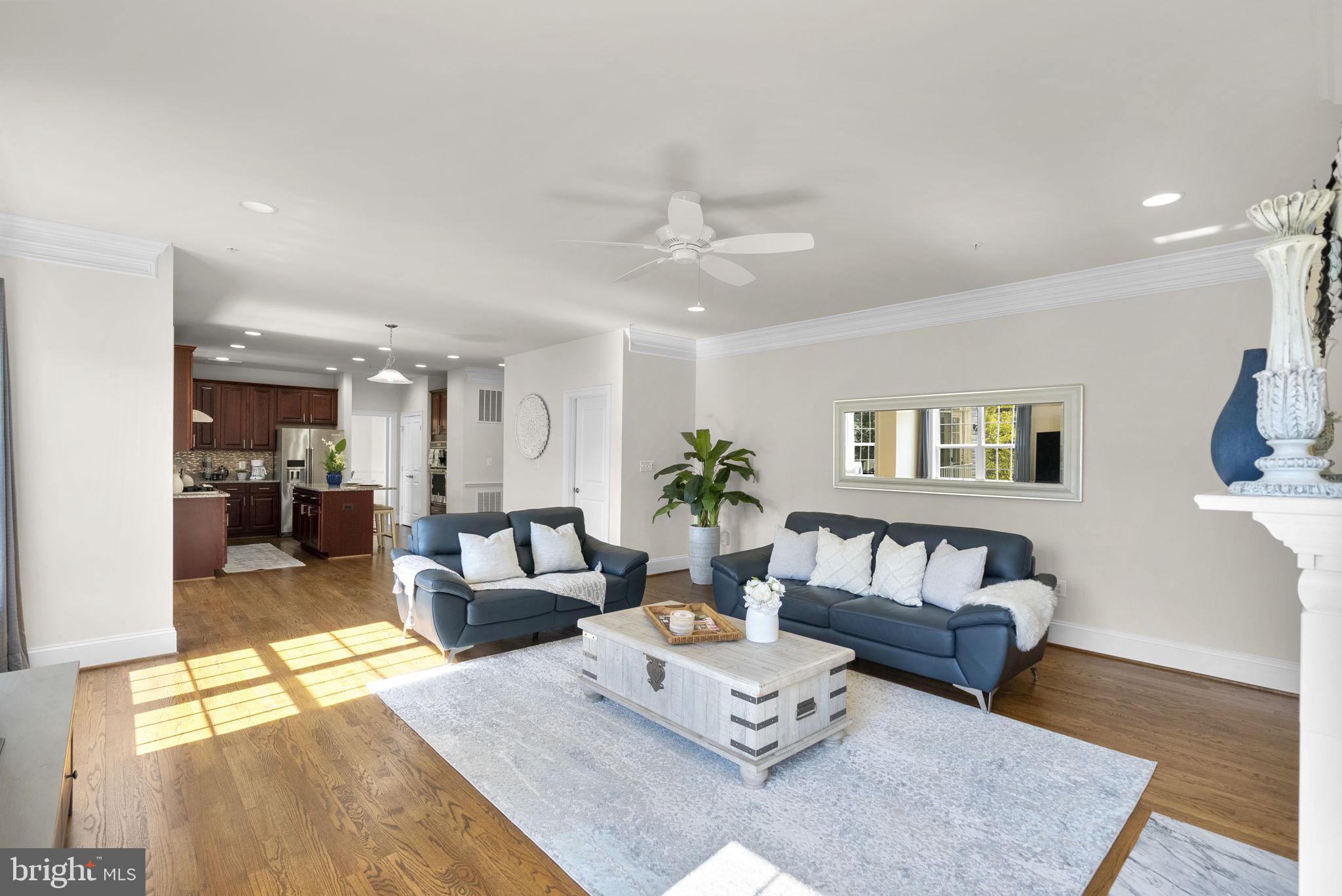 CLARKSBURG VILLAGE - Residential