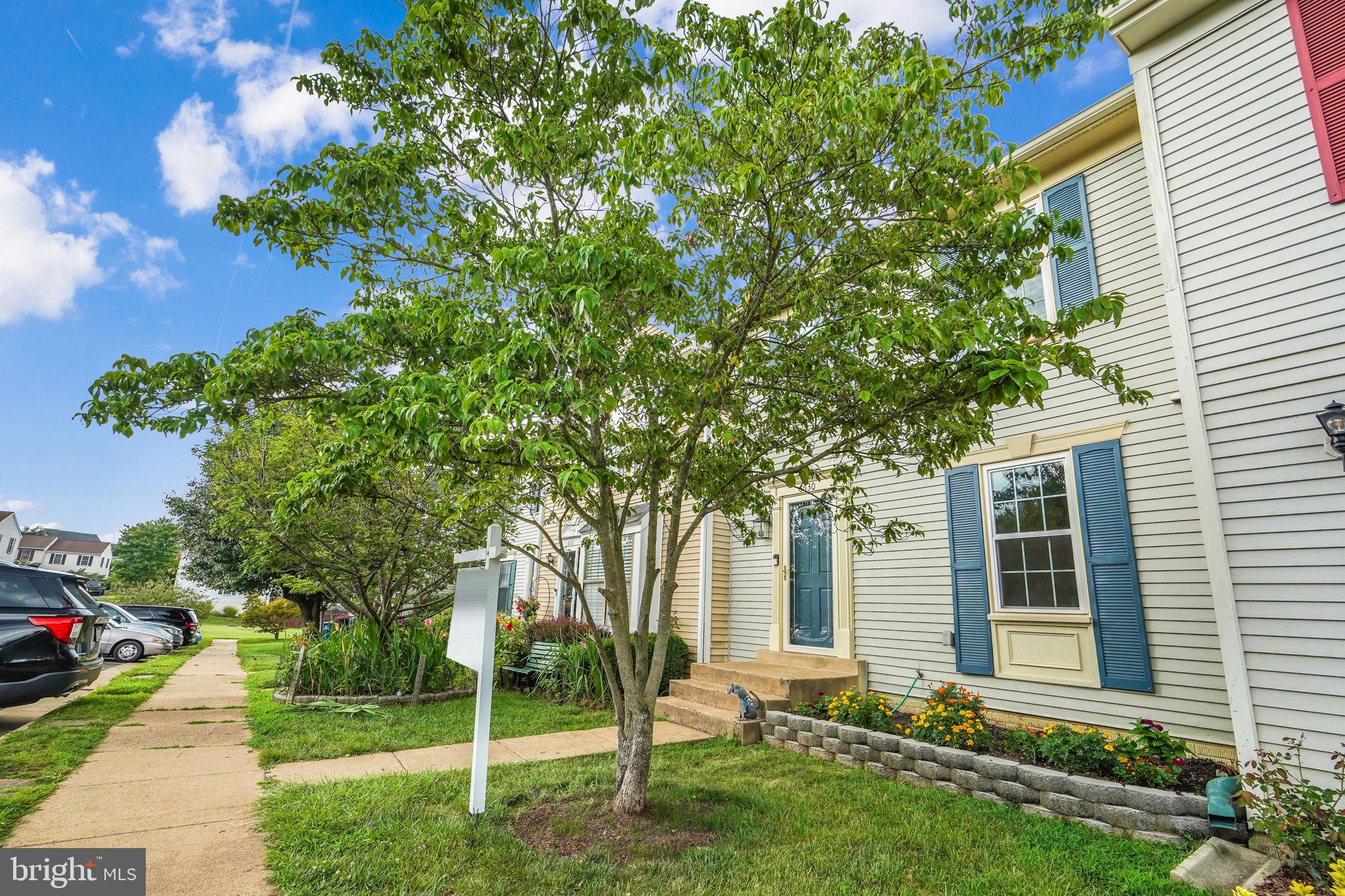 LONGSTREET COMMONS - Residential