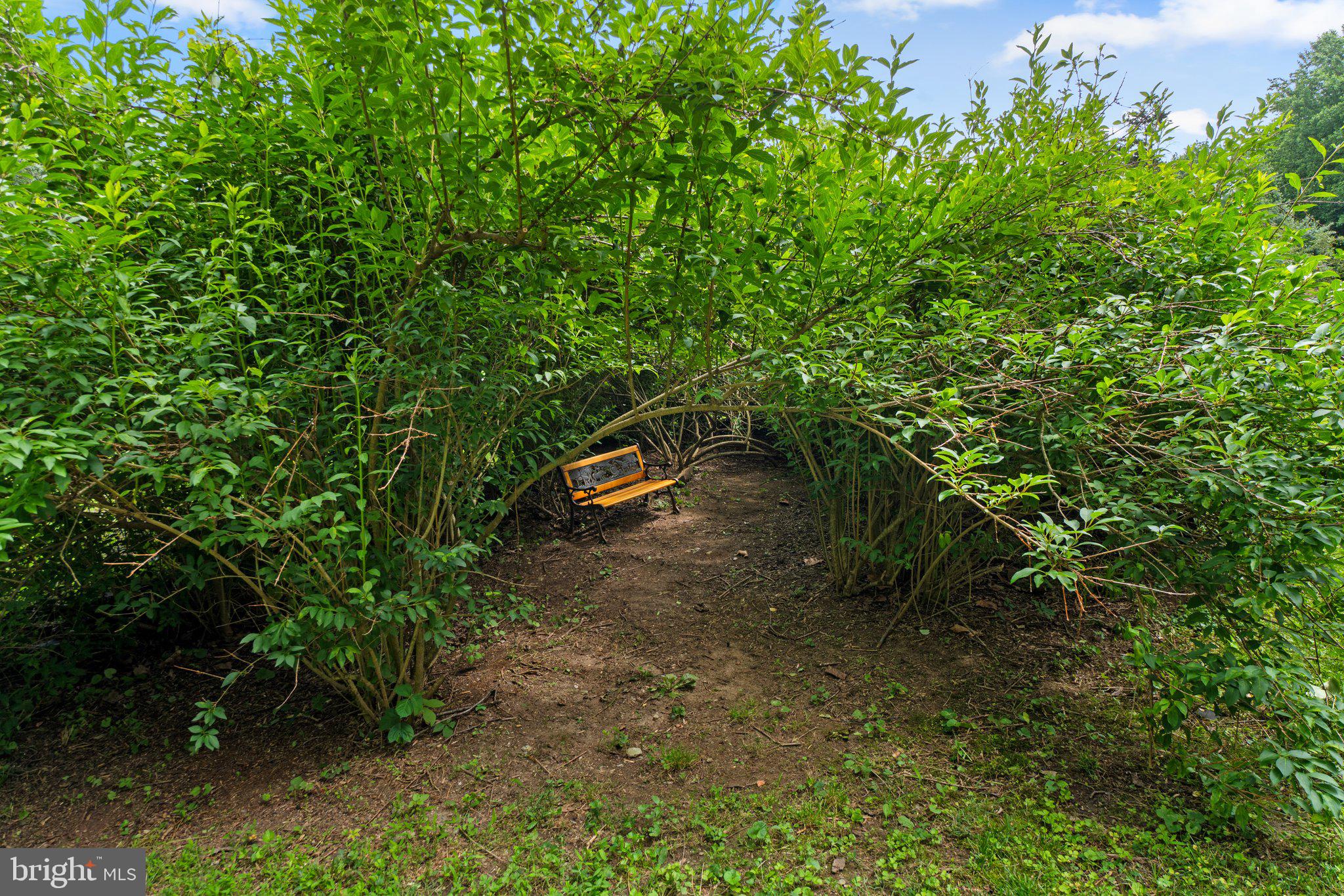 CARROLL SQUARE - Residential