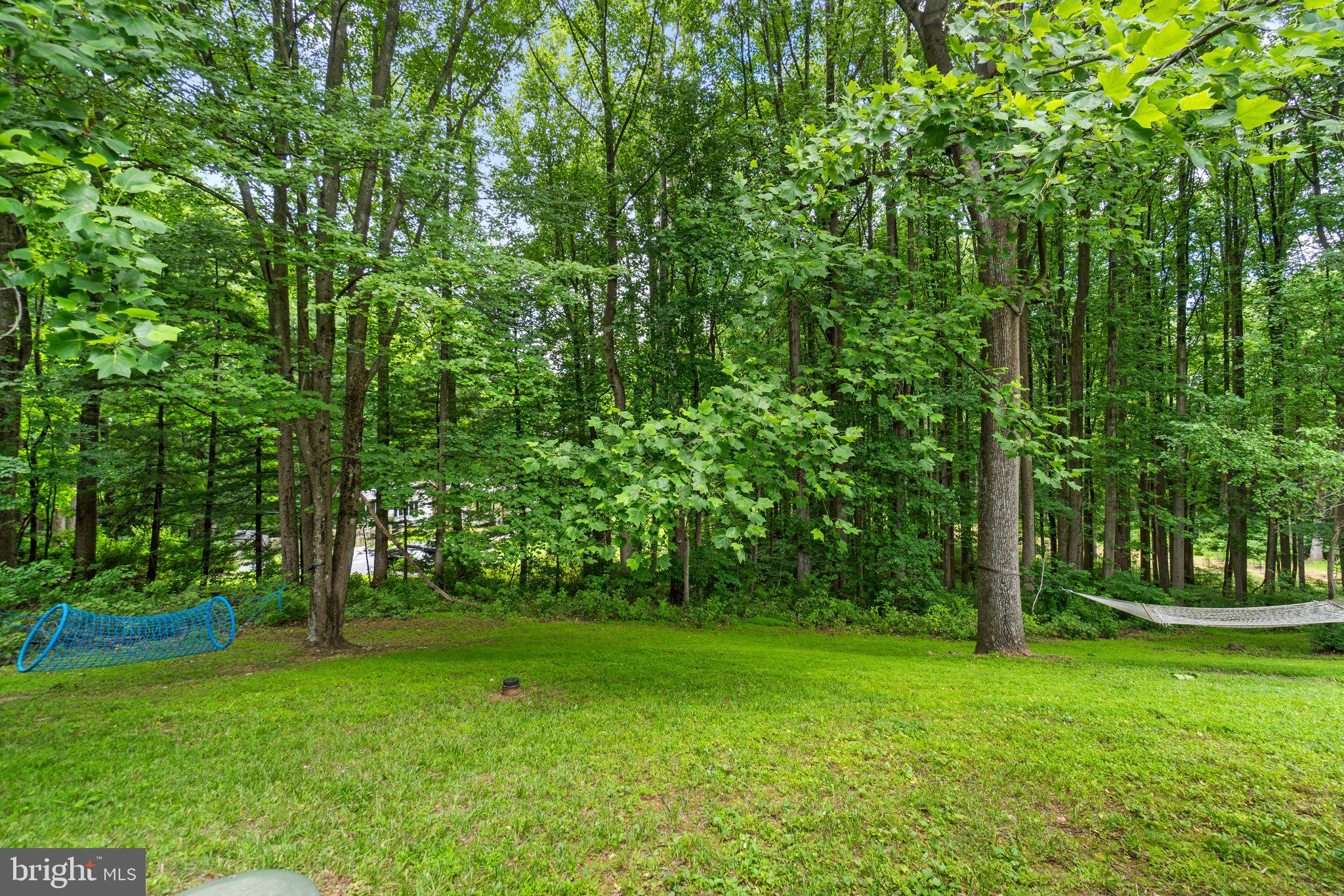 CARROLL SQUARE - Residential