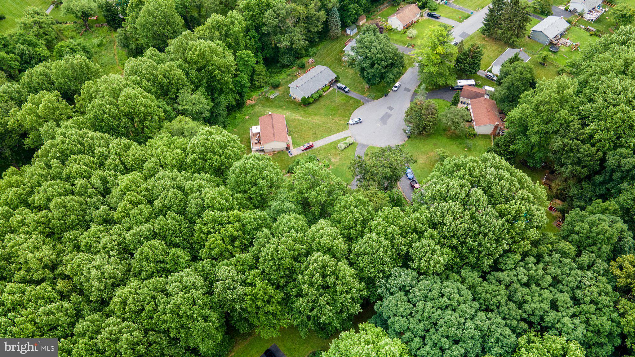 CARROLL SQUARE - Residential