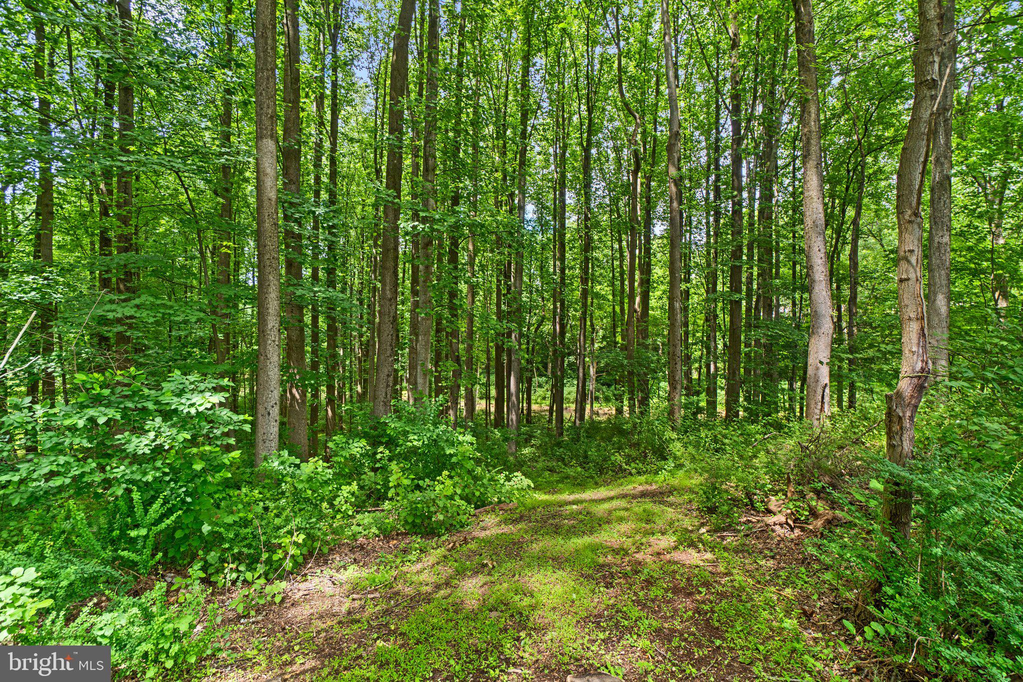 CARROLL SQUARE - Residential
