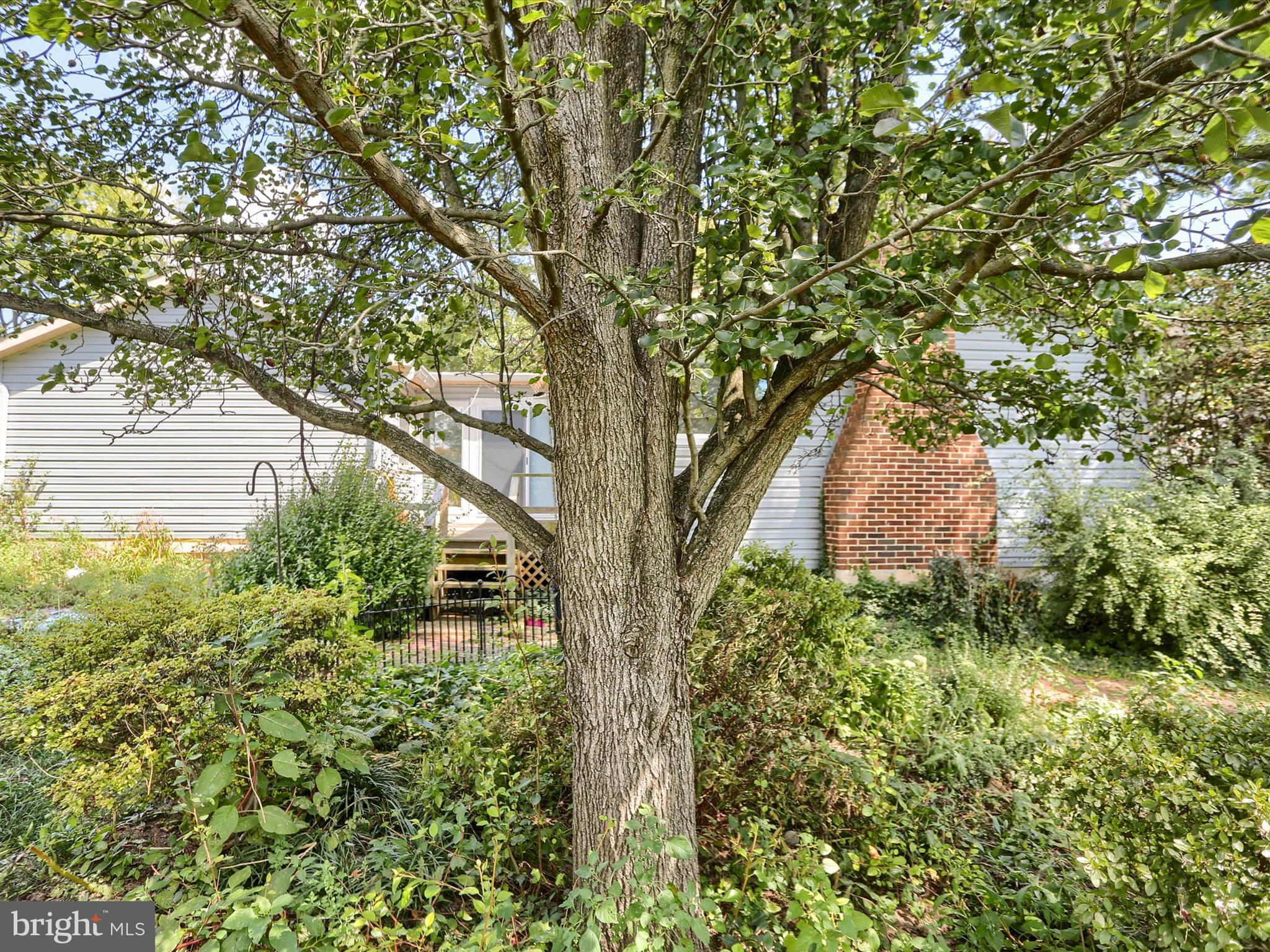 OAKWOOD PARK - Residential