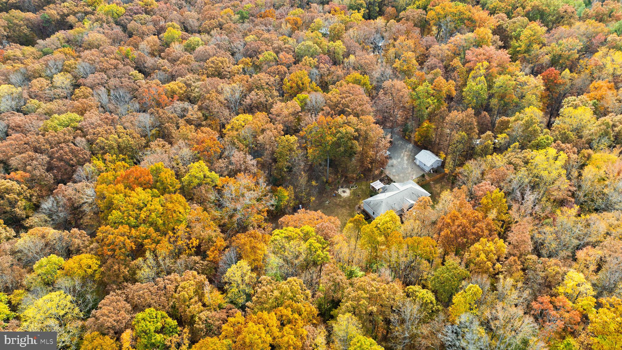 WILDWOOD - Residential