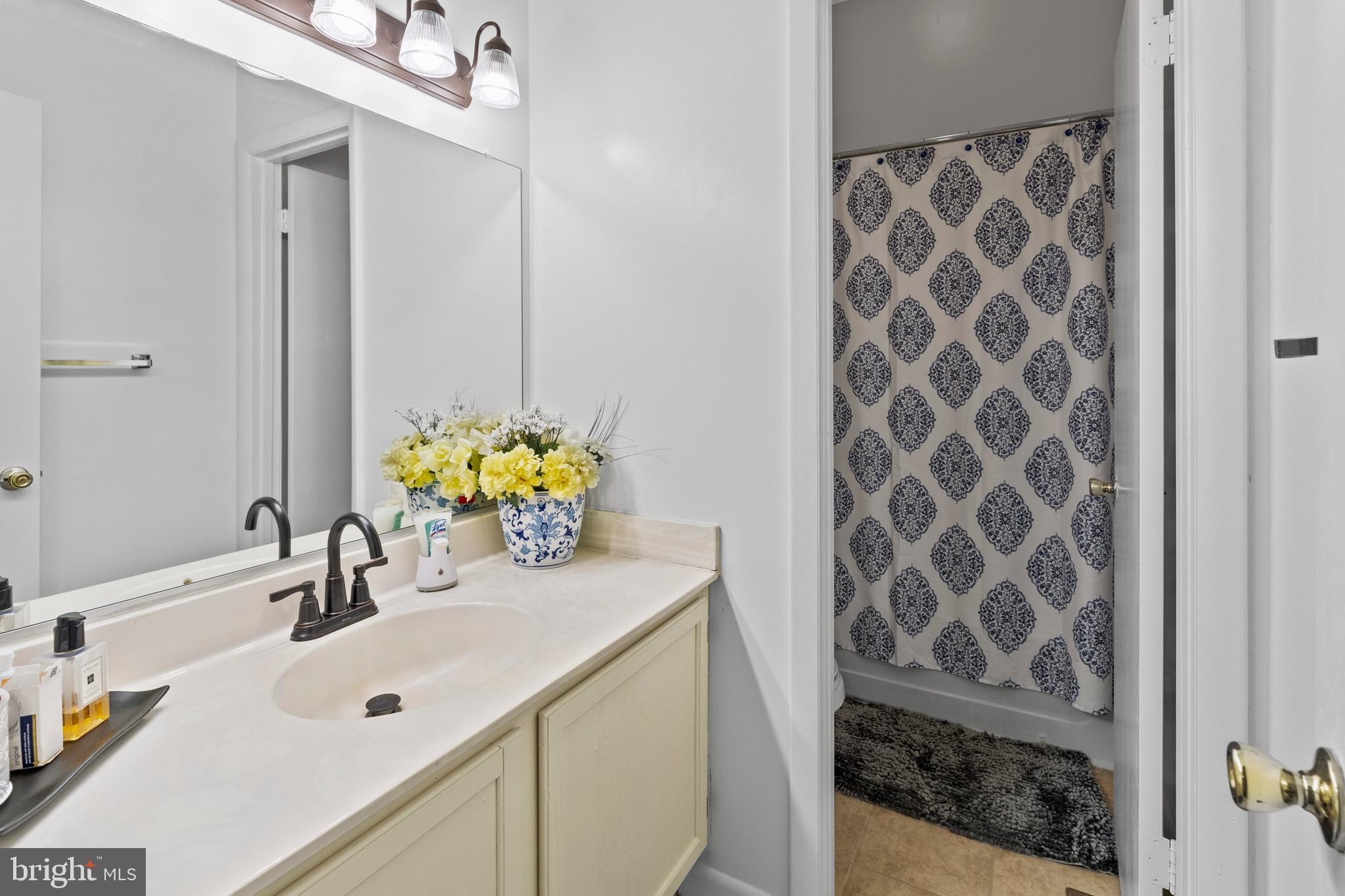 LODGE AT MCDONGH - Residential