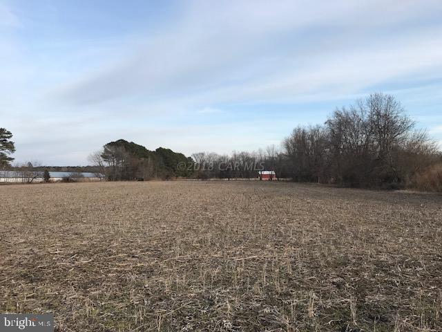 NONE AVAILABLE - Land