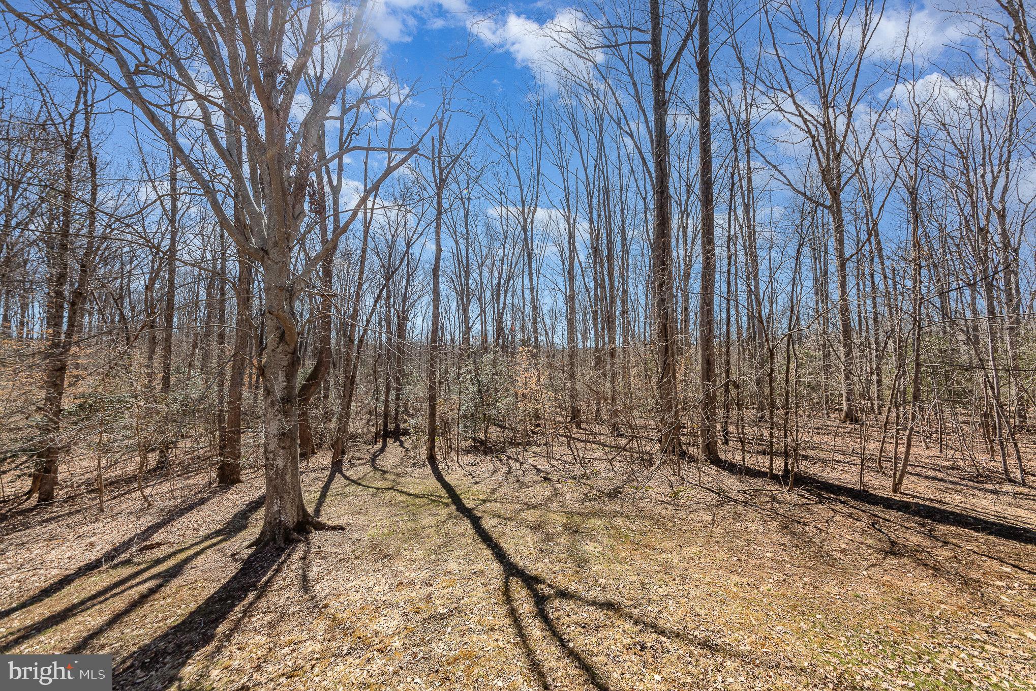 RIVER WOOD - Residential